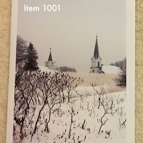Item 1001