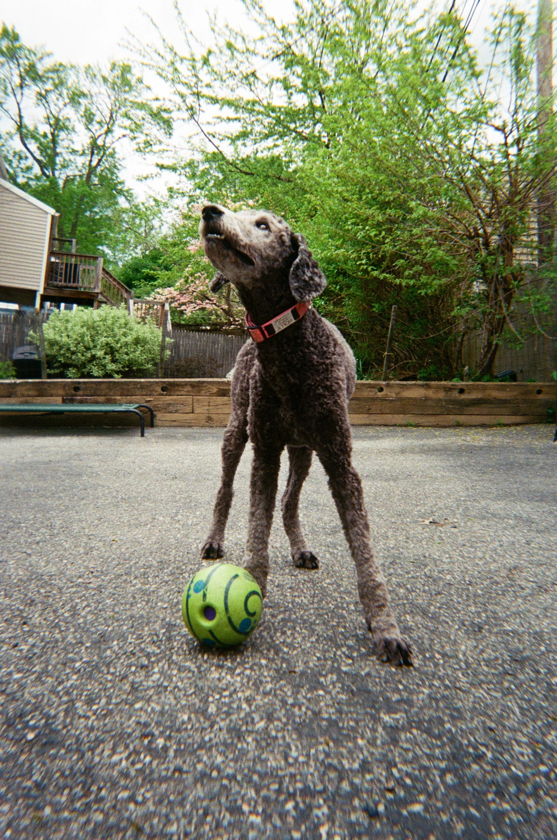 000010420021.jpg