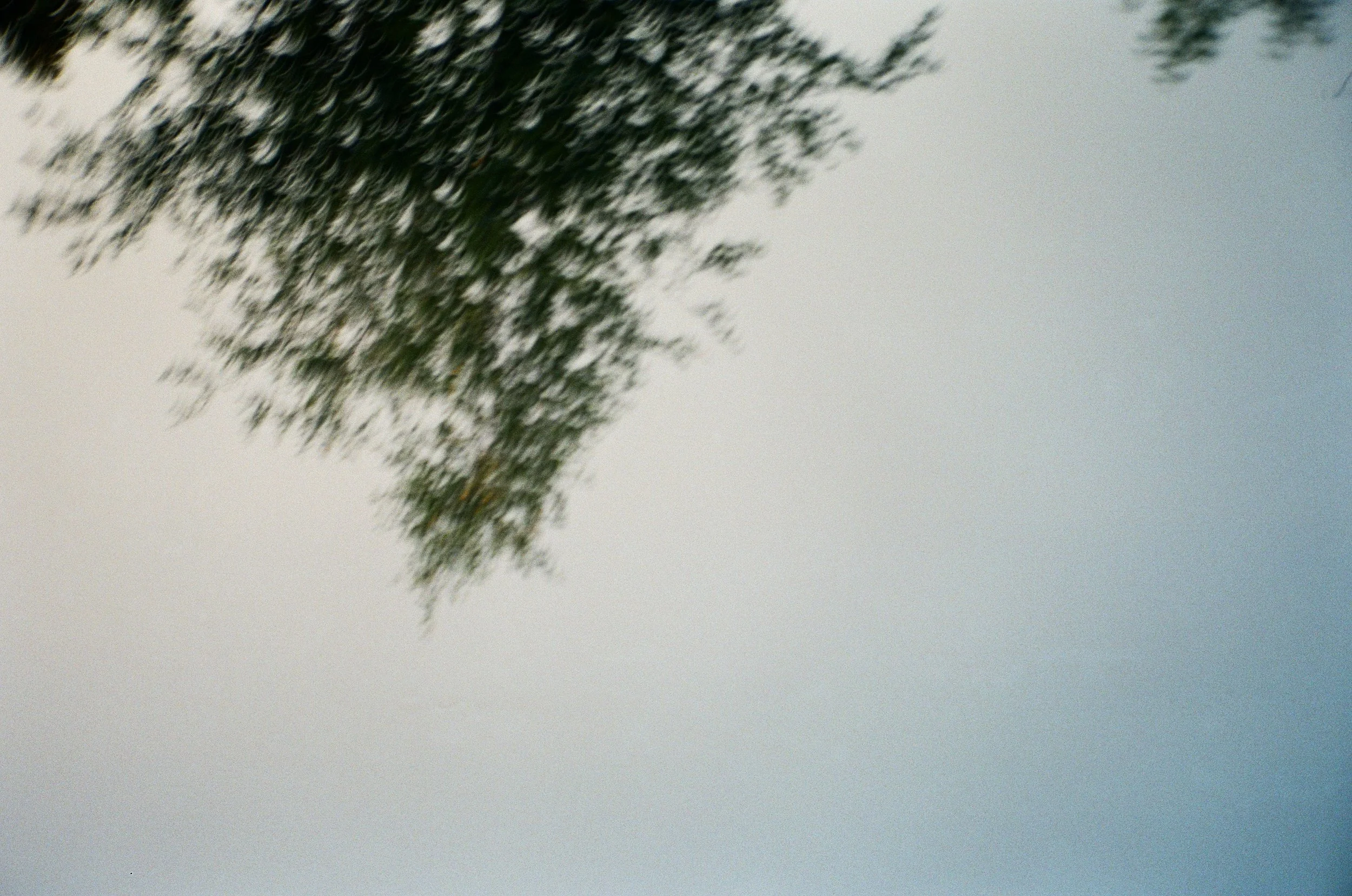 000019010003.jpg