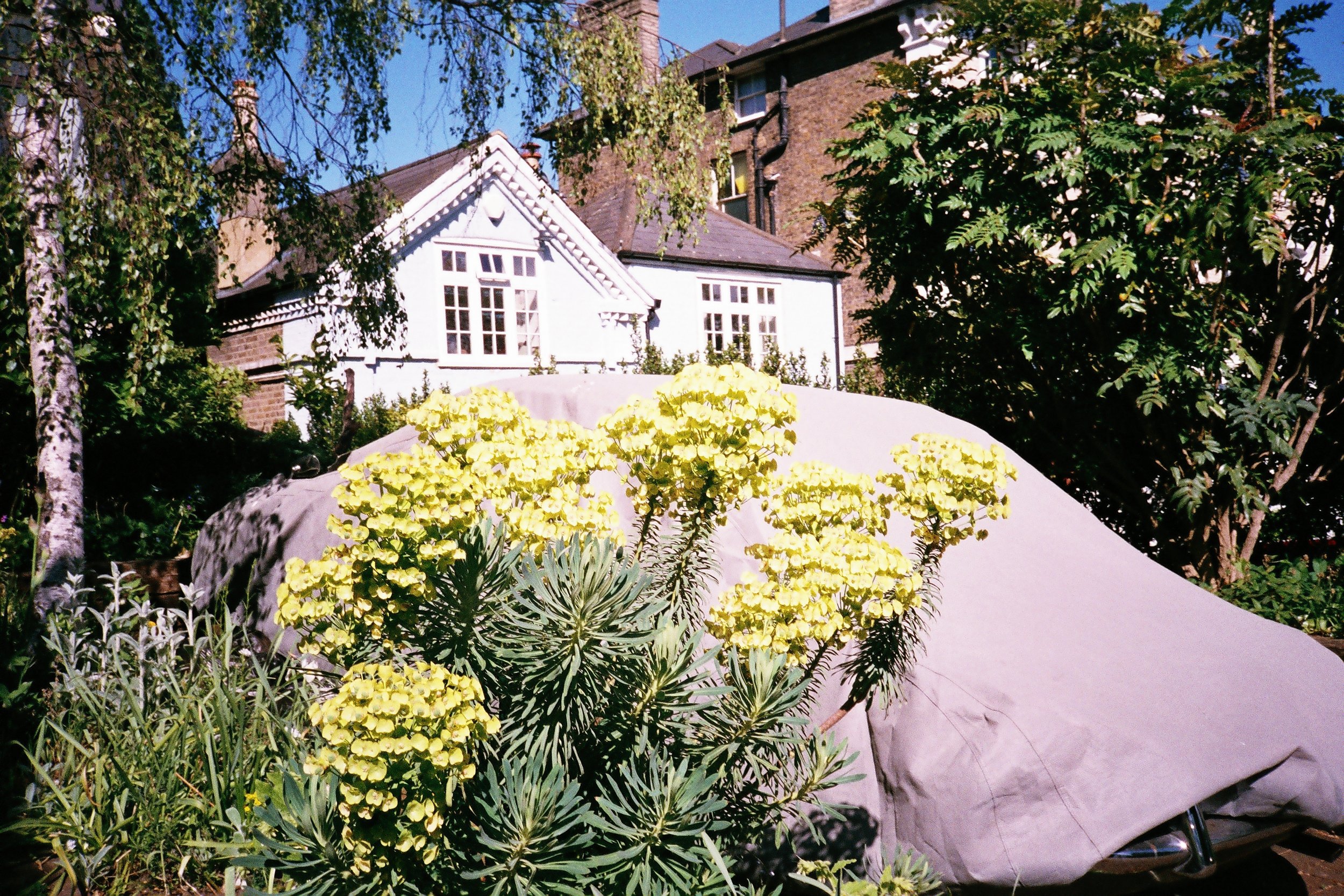 20-07-C_07.jpg