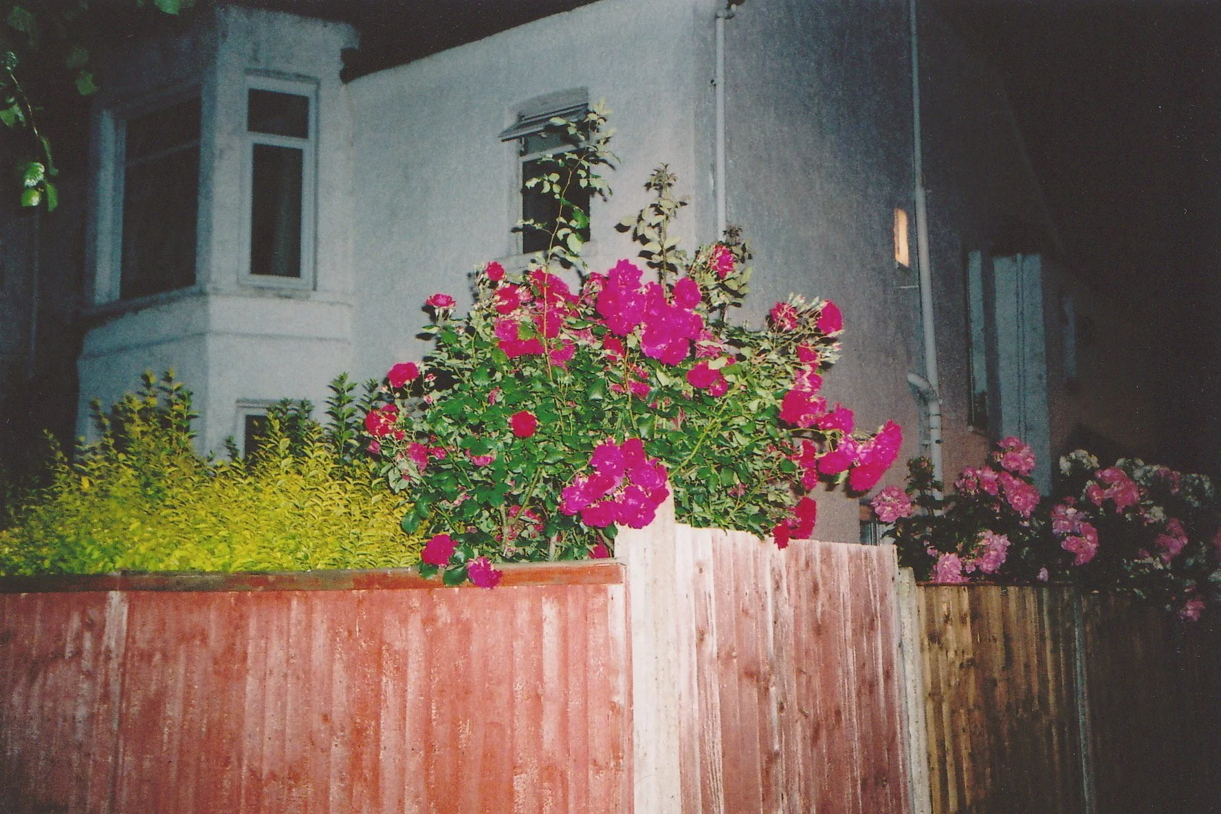 09-06-B_24.jpg