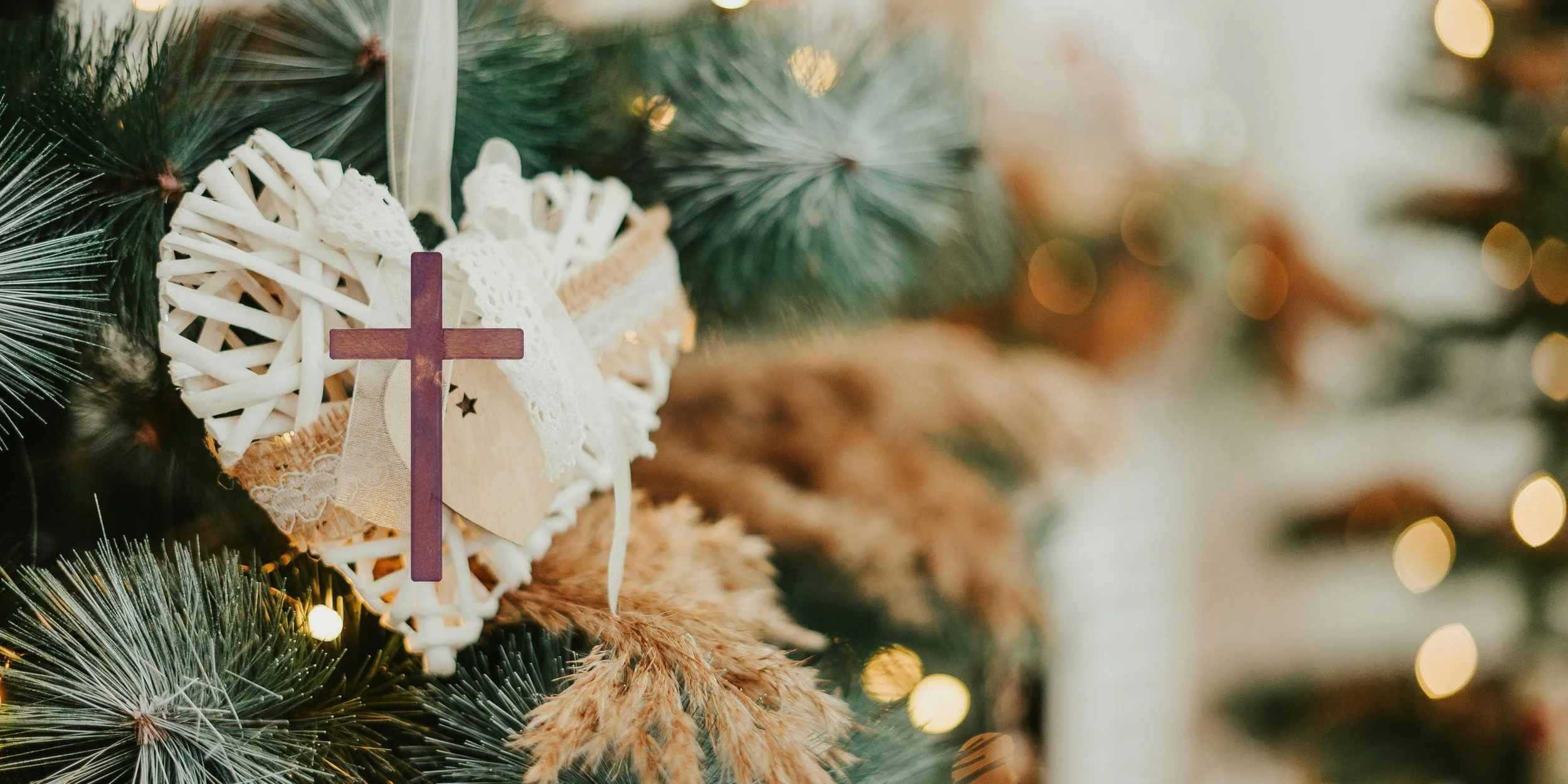 Born to Take Our Place