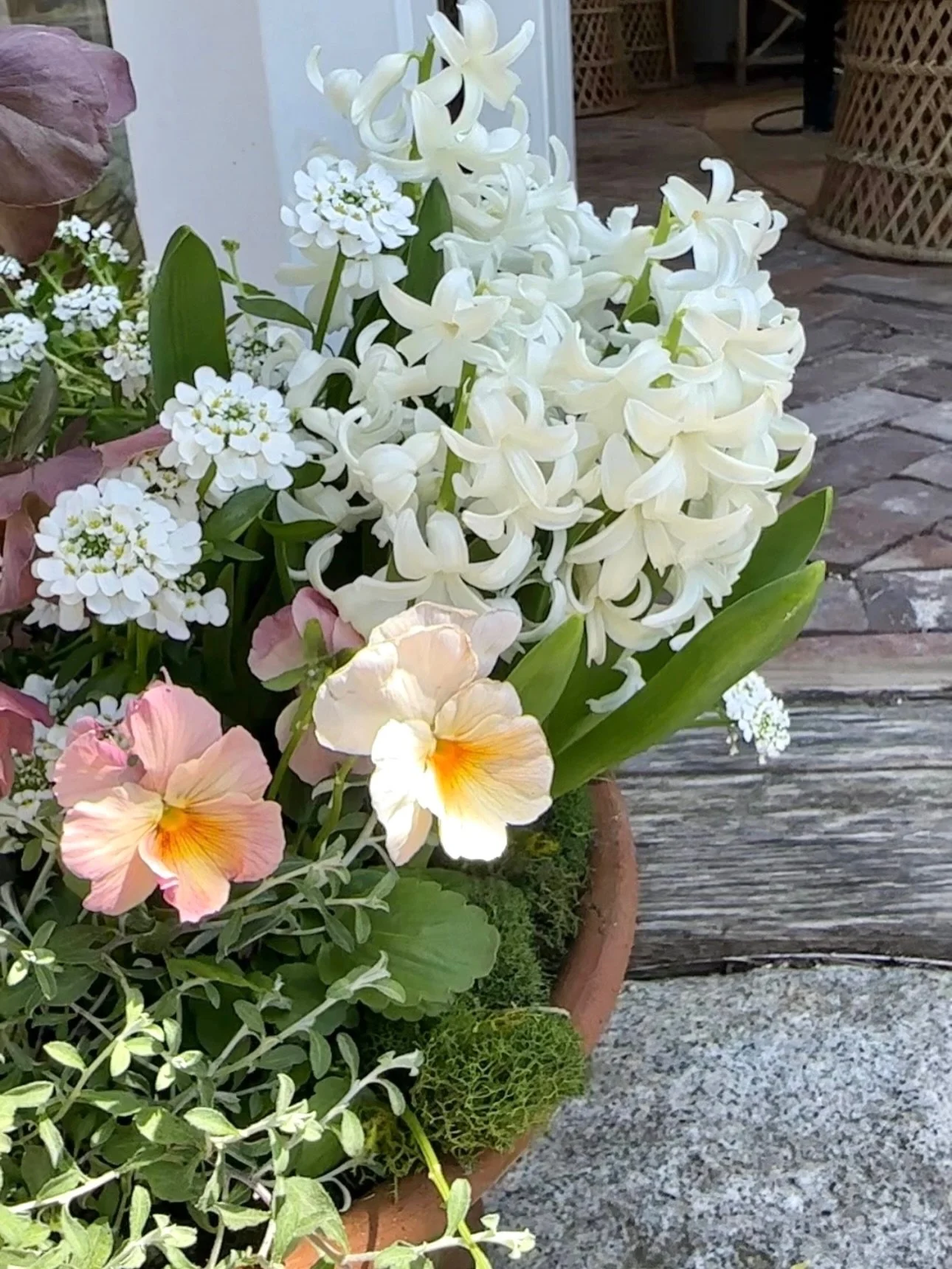 Of all of the different paths I&rsquo;ve explored through my business, my seasonal planter installations are by far my favorite.  They so perfectly blend all of the creative aspects of design that I love, from color theory, proportion, and balance, w