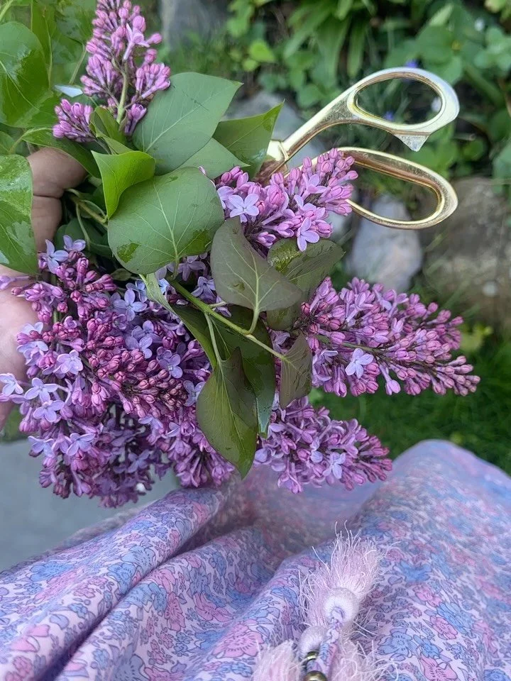 There are certain scents that I look forward to appearing every spring in my garden and in my latest Substack, I meander through that list. 

From the hyacinths that kick off the spring season with their heady fragrance to the mock orange that most p