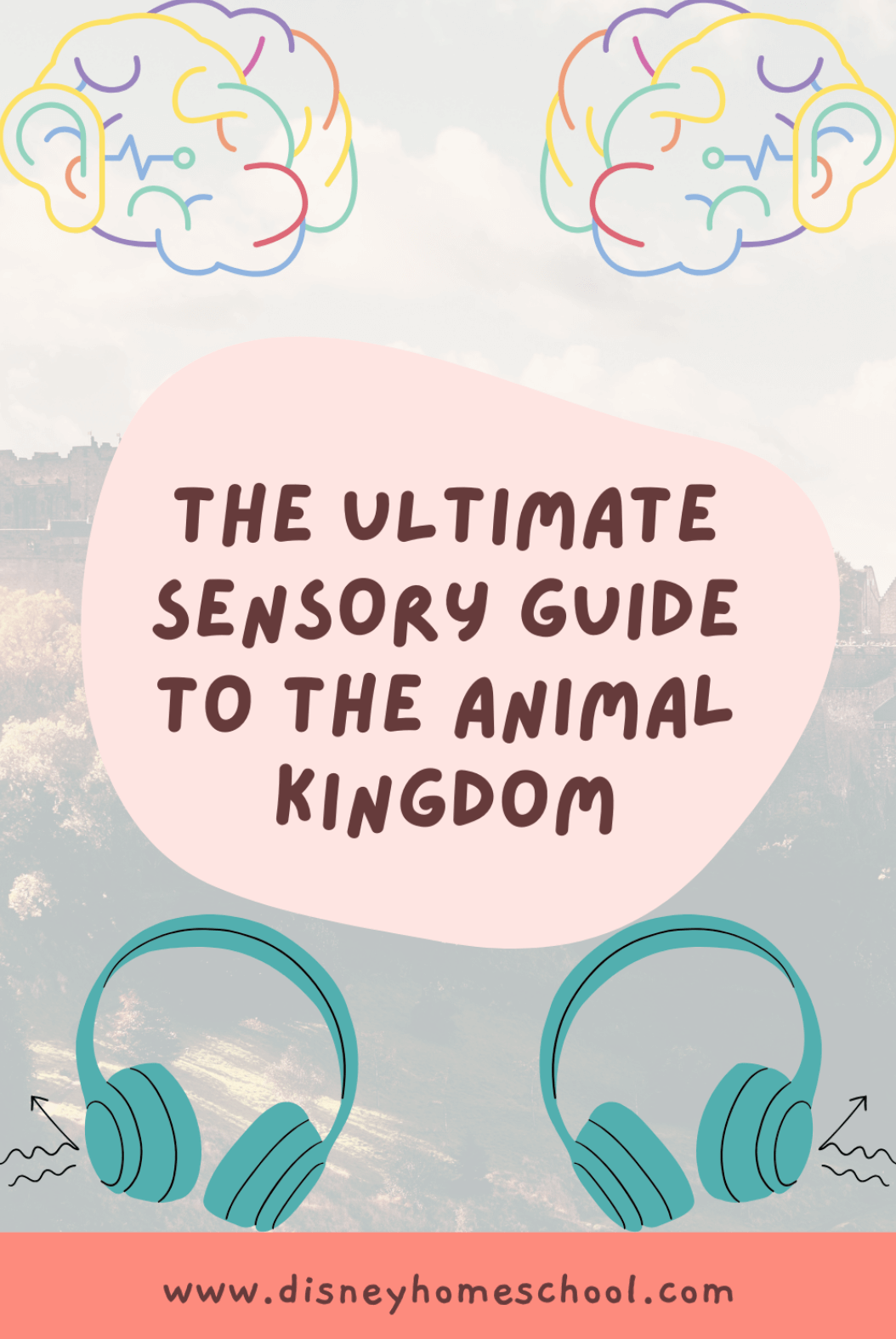 The Ultimate Sensory Guide to Disney’s Animal Kingdom