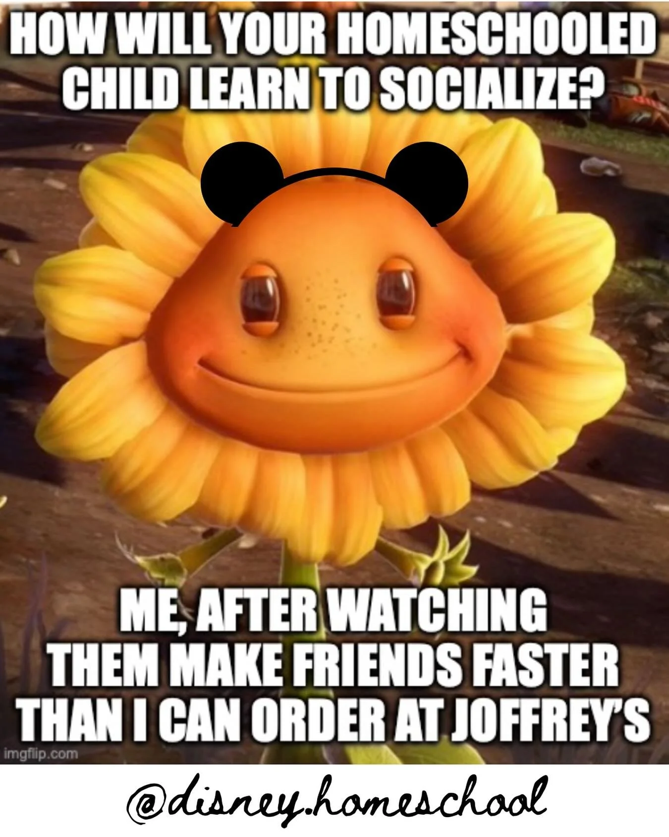 They said homeschoolers don&rsquo;t socialize lol
#homeschool #homeschooling #disneyhomeschool #epcothomeschool #wdwhomeschool #socializationmyth #homeschoollife #homeschoolmoms #unschooling #wildschooling #disneyschool #homeschoolkids #eclectichomes