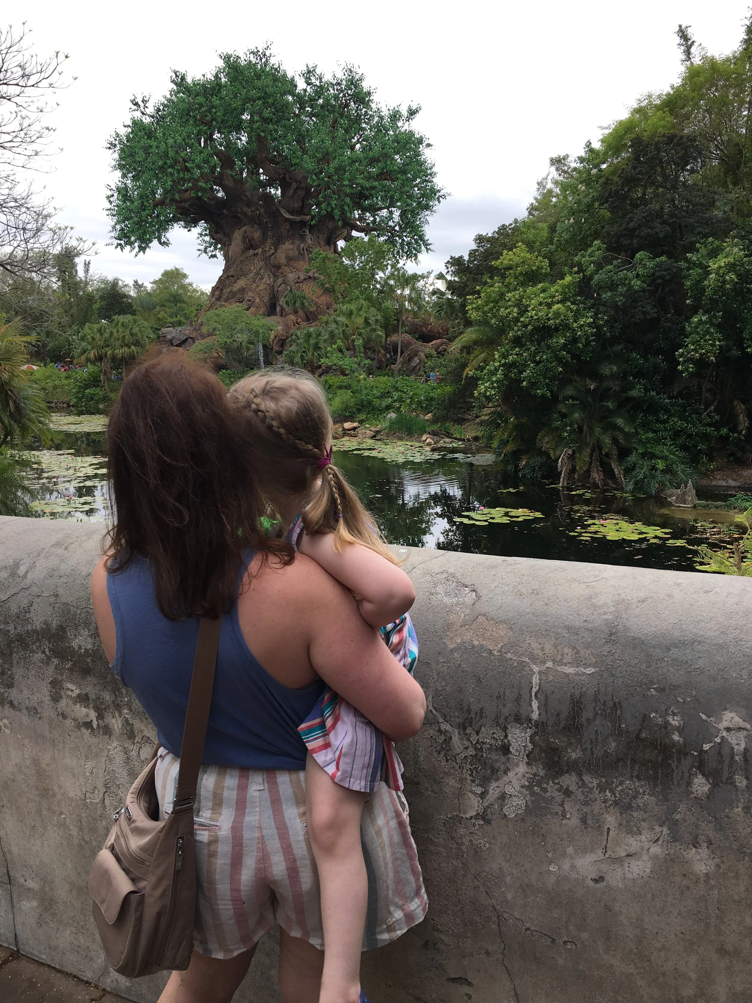 Animal Kingdom Tree of Life Free Disney World Printables