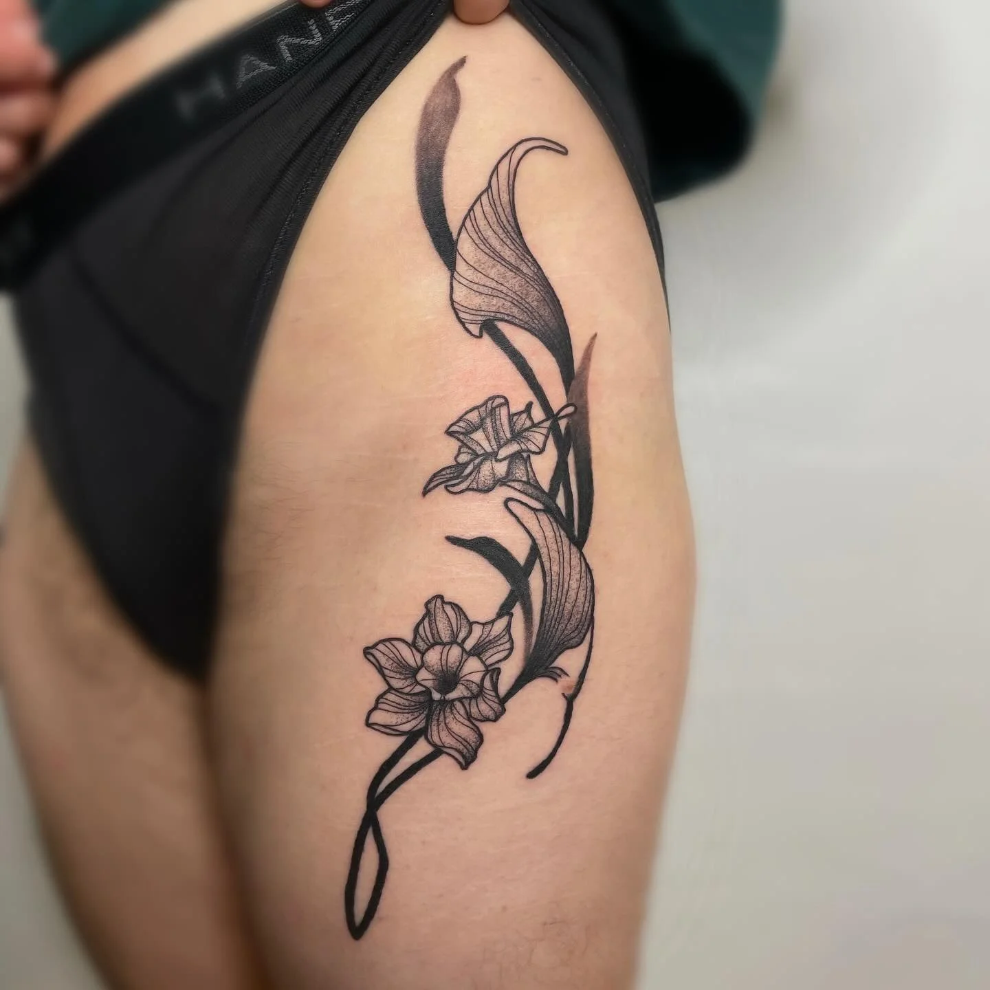 Pair o daffodils for Sam! These were so fun to tattoo and I’ve got so many pieces I haven’t posted yet due to me being who I am so keep an eye out!! 
.
.
.
.
.
.
.
.
#tattoo #wellingtontattoo #artneuveau #daffodil #hiptattoo #blackandgrey