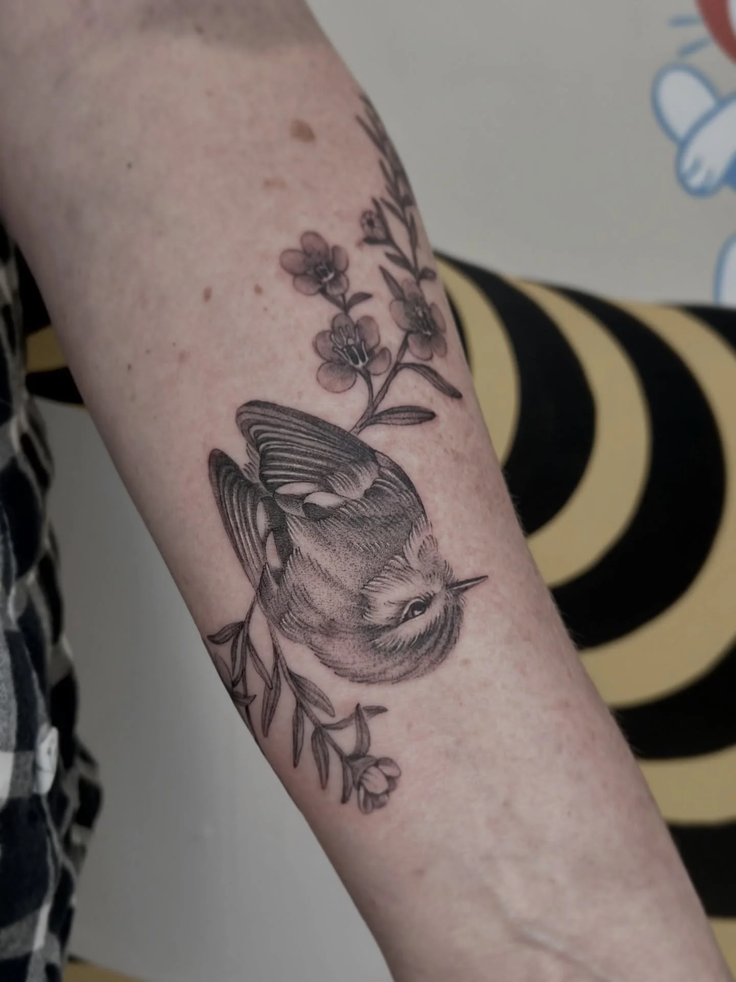 Thanks so much Sonya! A little life sized Titipounamu and Manuka flowers wrapping around her lower arm. 🌿
This was one of the @powershopnz prize winners from a promo they ran a wee while ago. 
#tattooart #tattooartist #nztattooartist #rifelman #ti