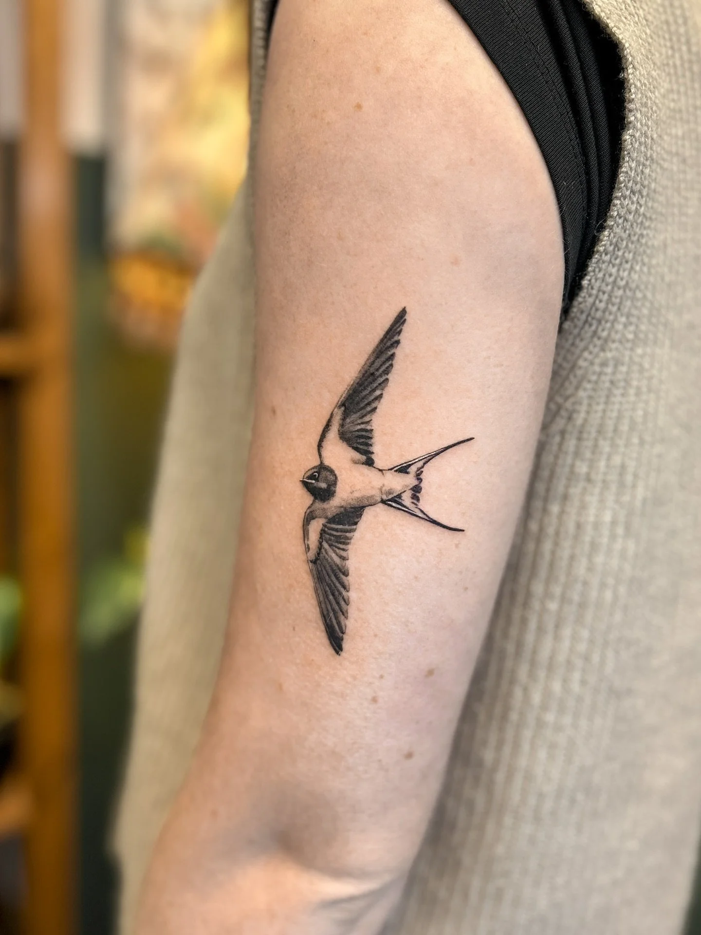 swallow flash for angel Ayla 🧡 thank you for choosing this birdie to come on all your adventures! 
.
,
.
,
.
.
.
,
.
#tattoo #nztattoo #tattoos #flashtattoo #flashtattoos #nztattoos #nztattooartist #wellington #wellingtontattooartist #wellingtontat