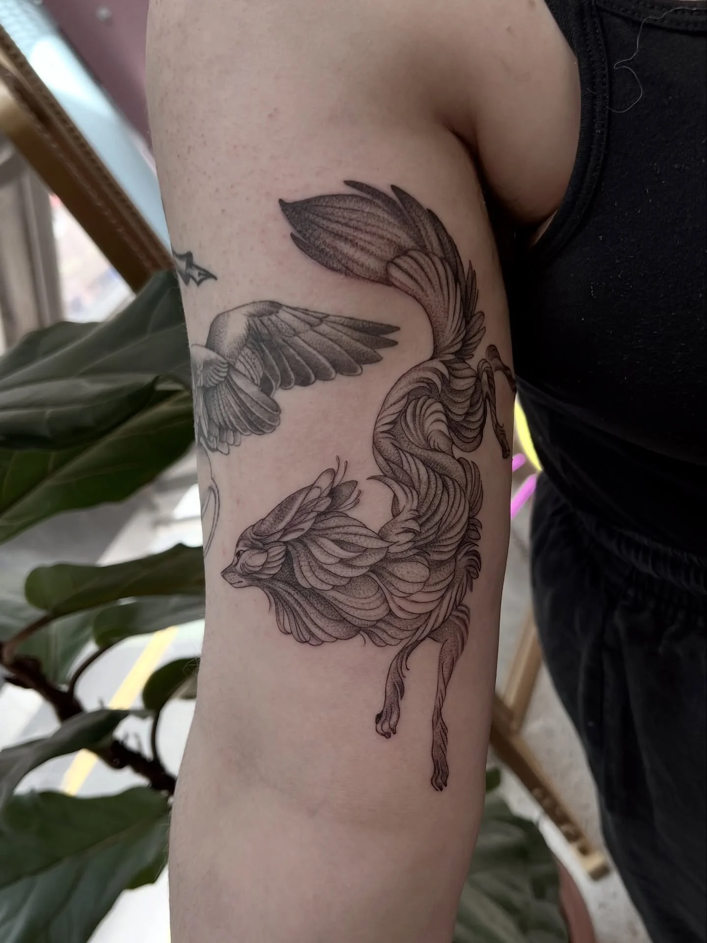 A floaty floofer for Kaitlin.
Thanks so much for visiting and getting this on your holiday 🫶
#tattooart #tattooartist #buttercattattoonz #wellingtontattooartist #nztattooartist #tattoodesign #wolftattoo #wellingtontattooshop #foxtattoo