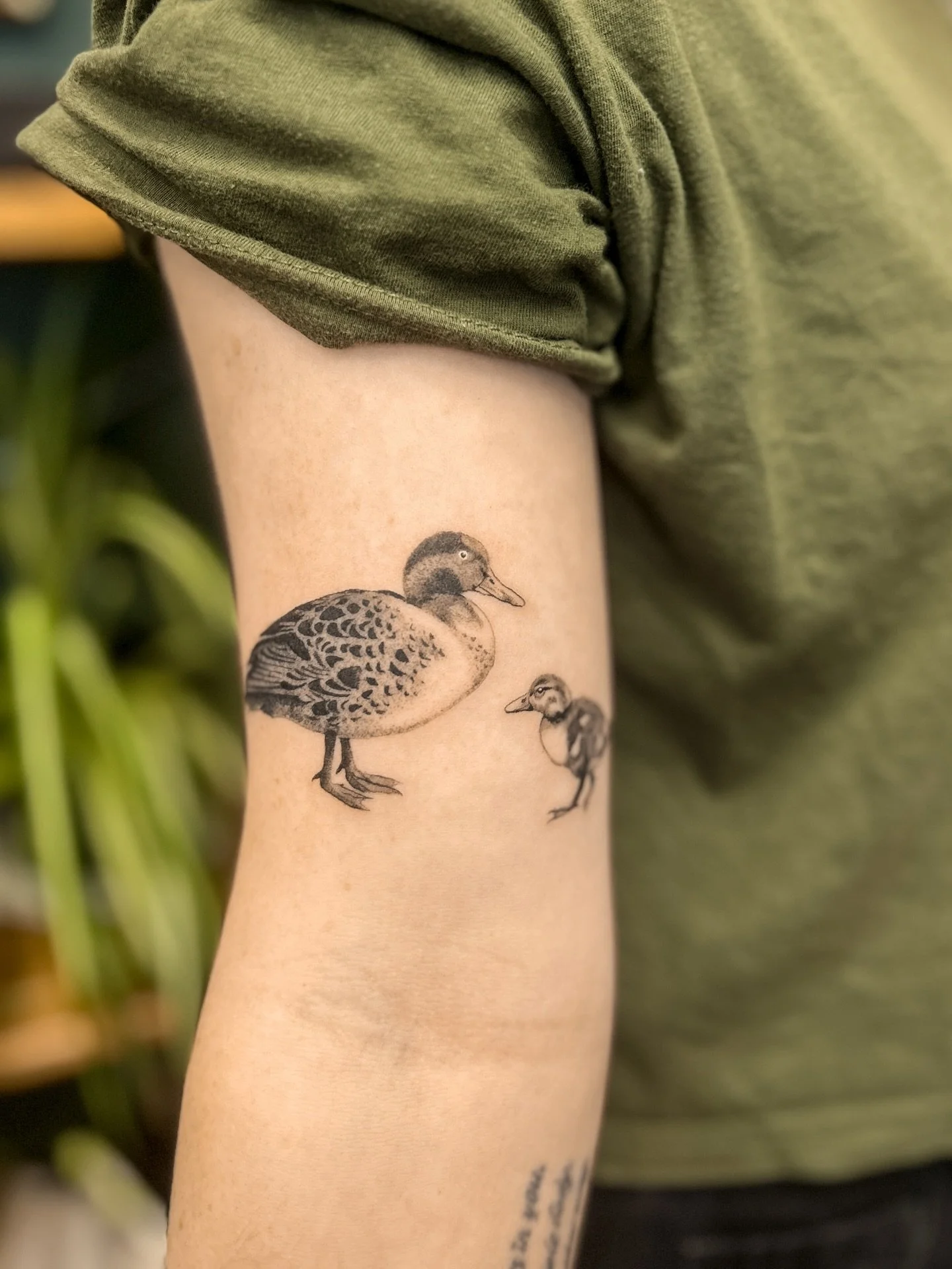 mama & baby duckies for Loren 💚 some Rosa lore; I’ve always been obsessed with ducklings! this was a super cute project, thank you so much!
please book in a bird tattoo of your own 💚 I’d love to tattoo more birds, big or small, nat