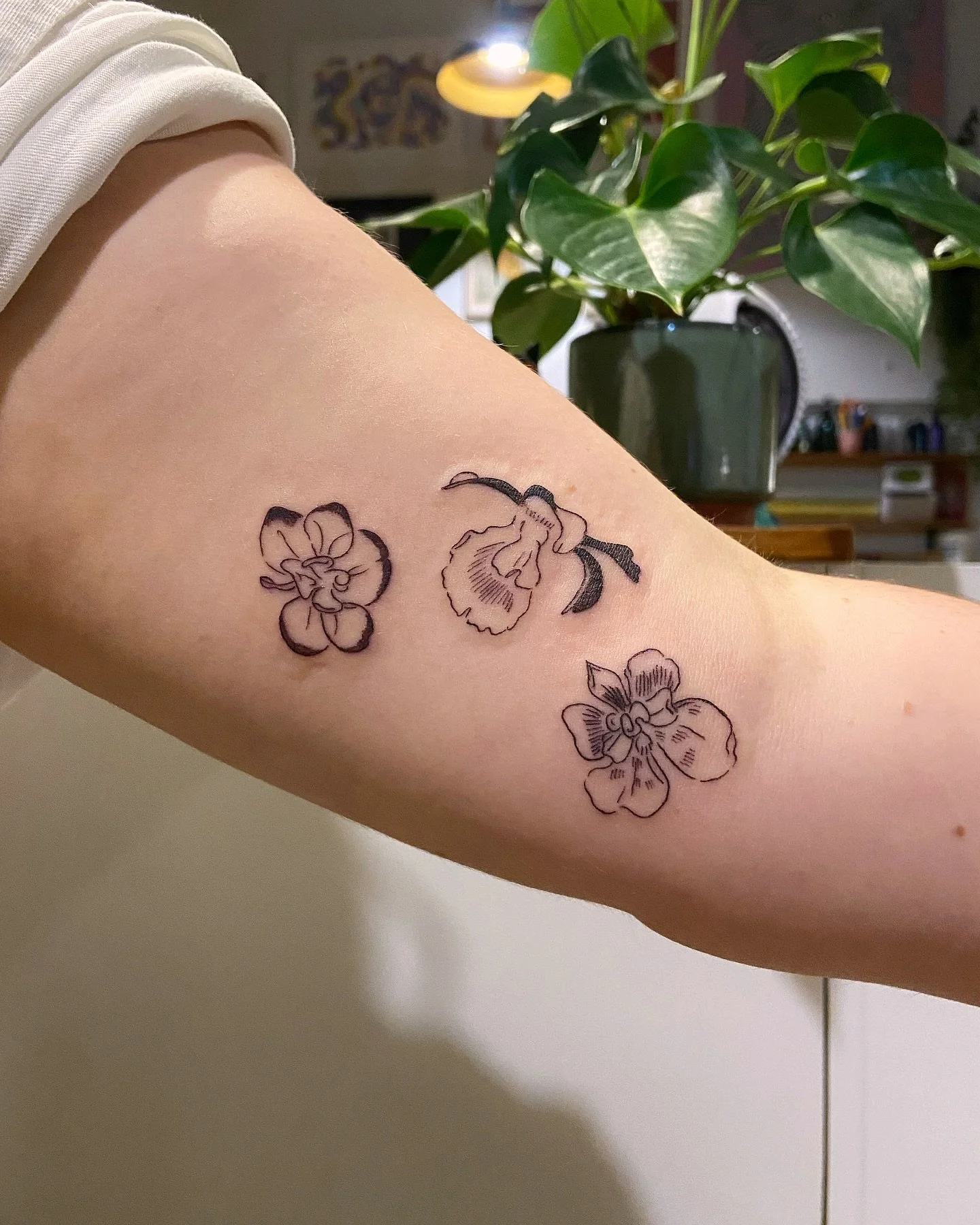 Thank u for getting these three little friends, Aelyth! Lovely to meet another orchid enthusiast 😌🤲🏽🌸
.
From my orchids of Singapore flash! Each are repeatable three times, and they can be all kinds of sizes and combos ✨ updated availability in m