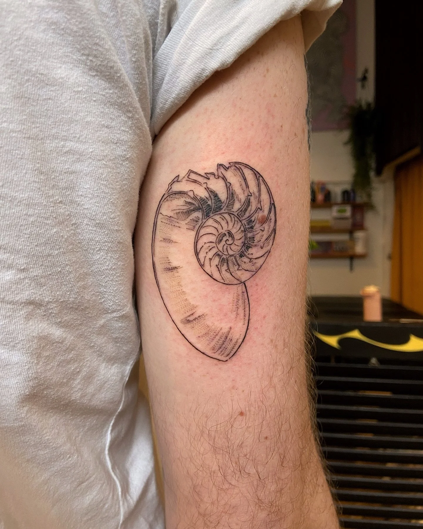 It is of the Utmost Importance that u swipe so that u can fully appreciate this nautilus appreciation 🐚🌊🌊
.
Thank you so much for your trust, Hayden! LOVE your idea for this antipodean placement 🙏🏽🙏🏽