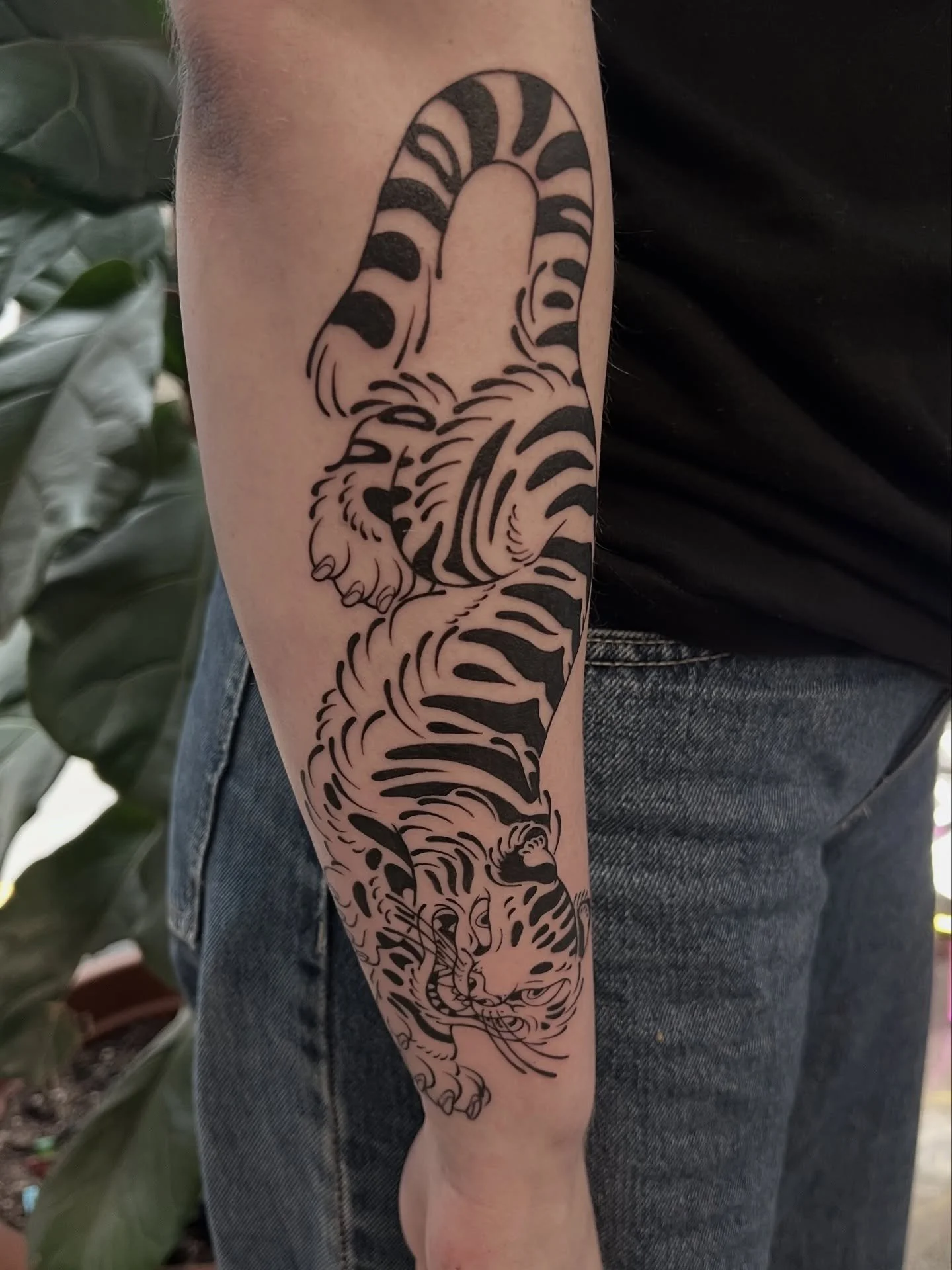 Linework prowling tiger from the other week 🐯🐯🐯
Thanks so much again 🙏
@buttercattattoo 
#tigertattoo #tigerart #artist #wellingtontattooartist #wellingtontattooshop #nztattooartist #customtattoo