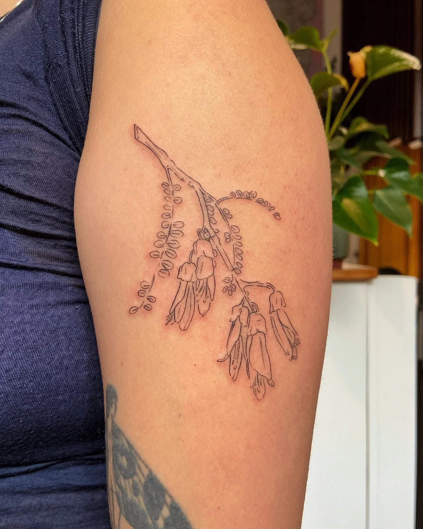 A lovely delicate kowhai with Nina 🌼🌱
.
Thank you so much for taking the time to pop in while you were on our side of the planet, Nina! So glad I got to meet you, and thank you so much for the beautiful gift of your poetry 🤲🏽♥️ wherever I