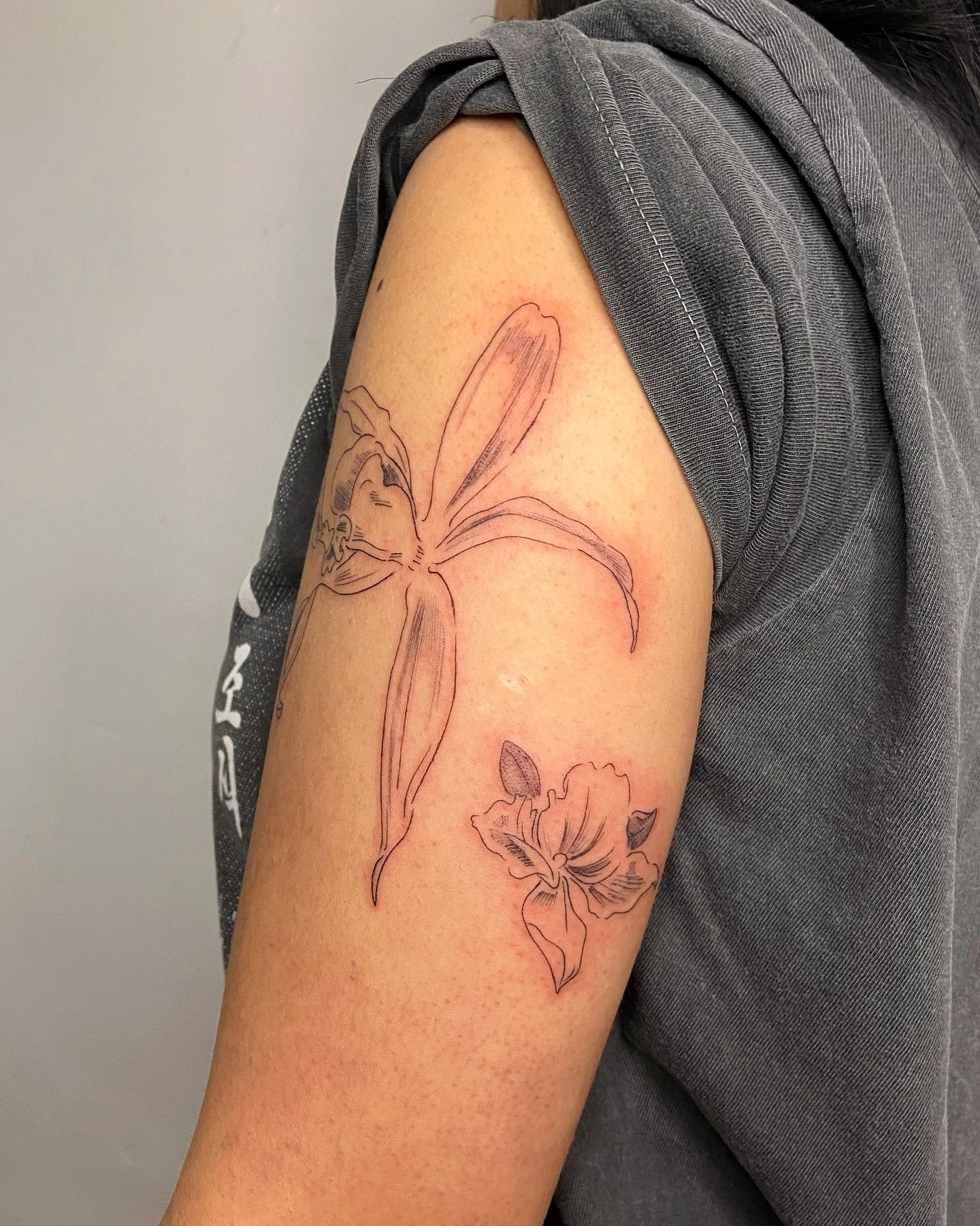 A little red still, but you get the gist 😌
.
Thank you for giving these orchids from my flash a home, Laurelai! Looove the size and placements u chose 🌸🌸🌸
.
From my repeatable orchids of Singapore flash 🇸🇬 life drawings from my trip there last 