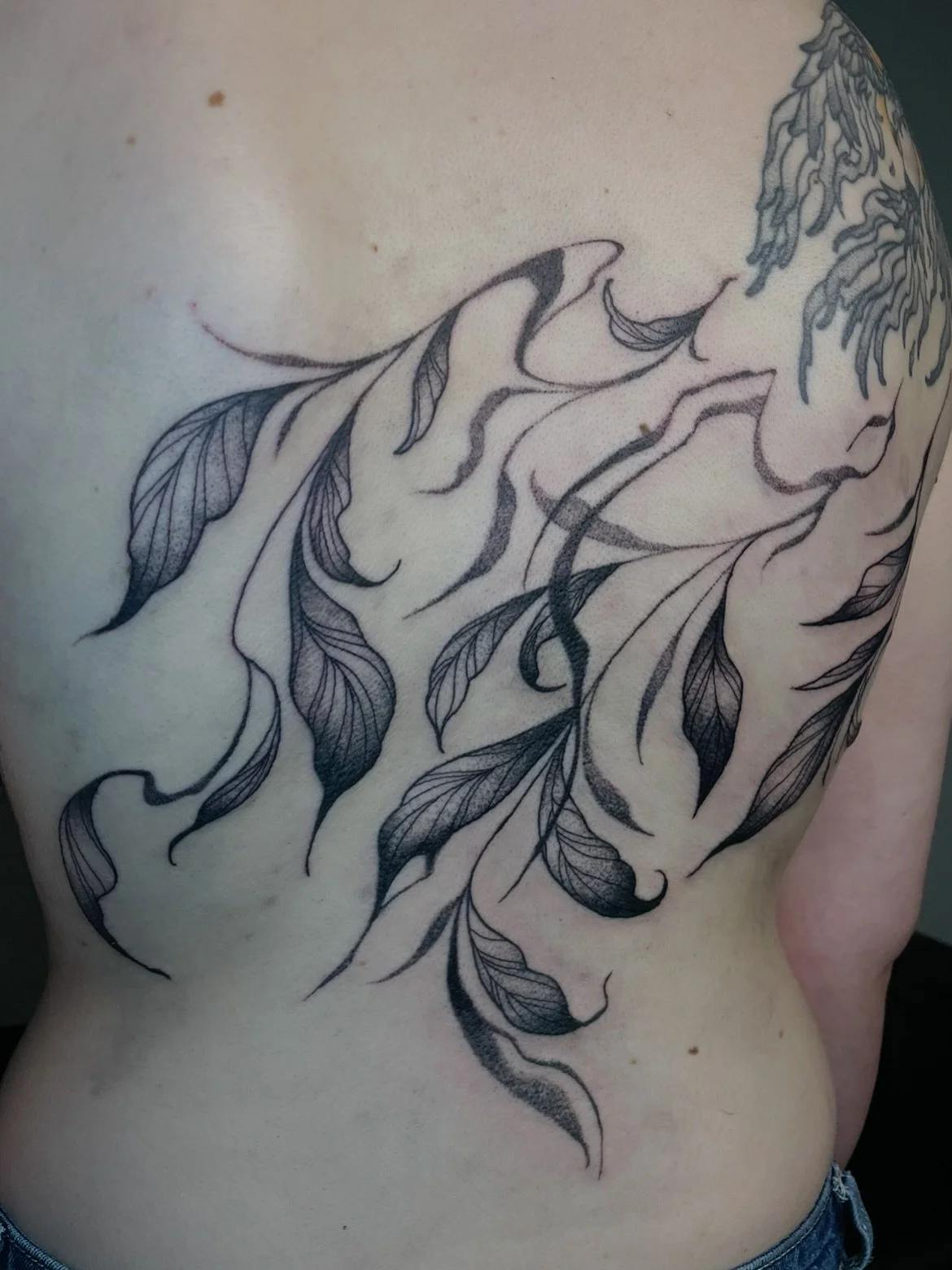 Smokey leaves for Greer. Thank you for the trust on this one and making it look easy to sit for a back tattoo 💪
.
.
.
.
.
.
.
#tattoo #wellingtontattoo #leaves #leaftatroo #vine #smoke #smoketattoo #backtattoo