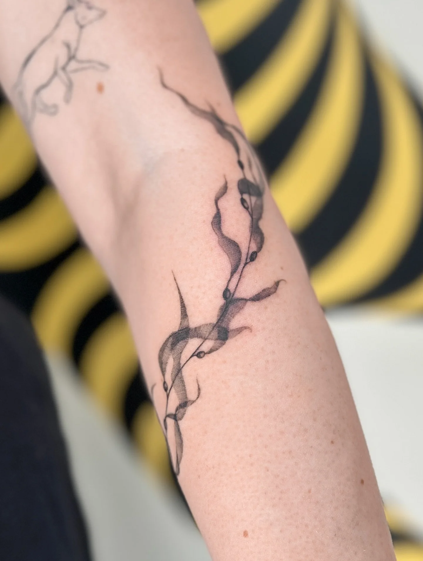 kelp for absolute legend and fabulous human Aedy 🖤 with me since the beginning of tattooing, thank you always! much aroha to you 🖤

I would love to tattoo more kelp or seaweed or any botanicals in this style, please get in touch if that sounds like