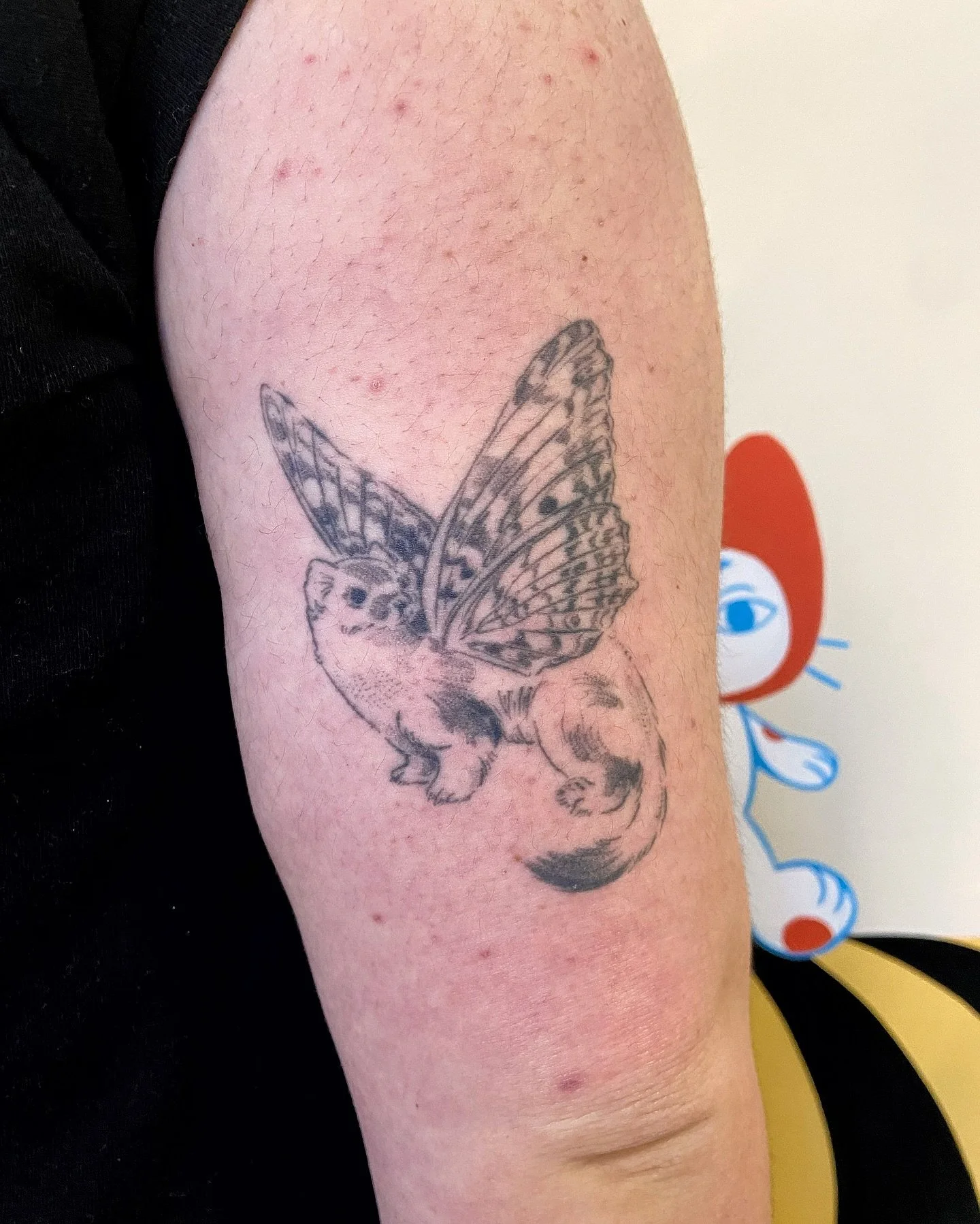 Murder husbands! 🥰🔪&hearts;️&hearts;️
.
(all other tattoos, except the Sylvanian Will Graham, Hannibal, &amp; healed ferret fairy not by me! I lost ur email, Taz, along with the names of the tattooists u said did the rest of ur collection 🥲)
.
So 