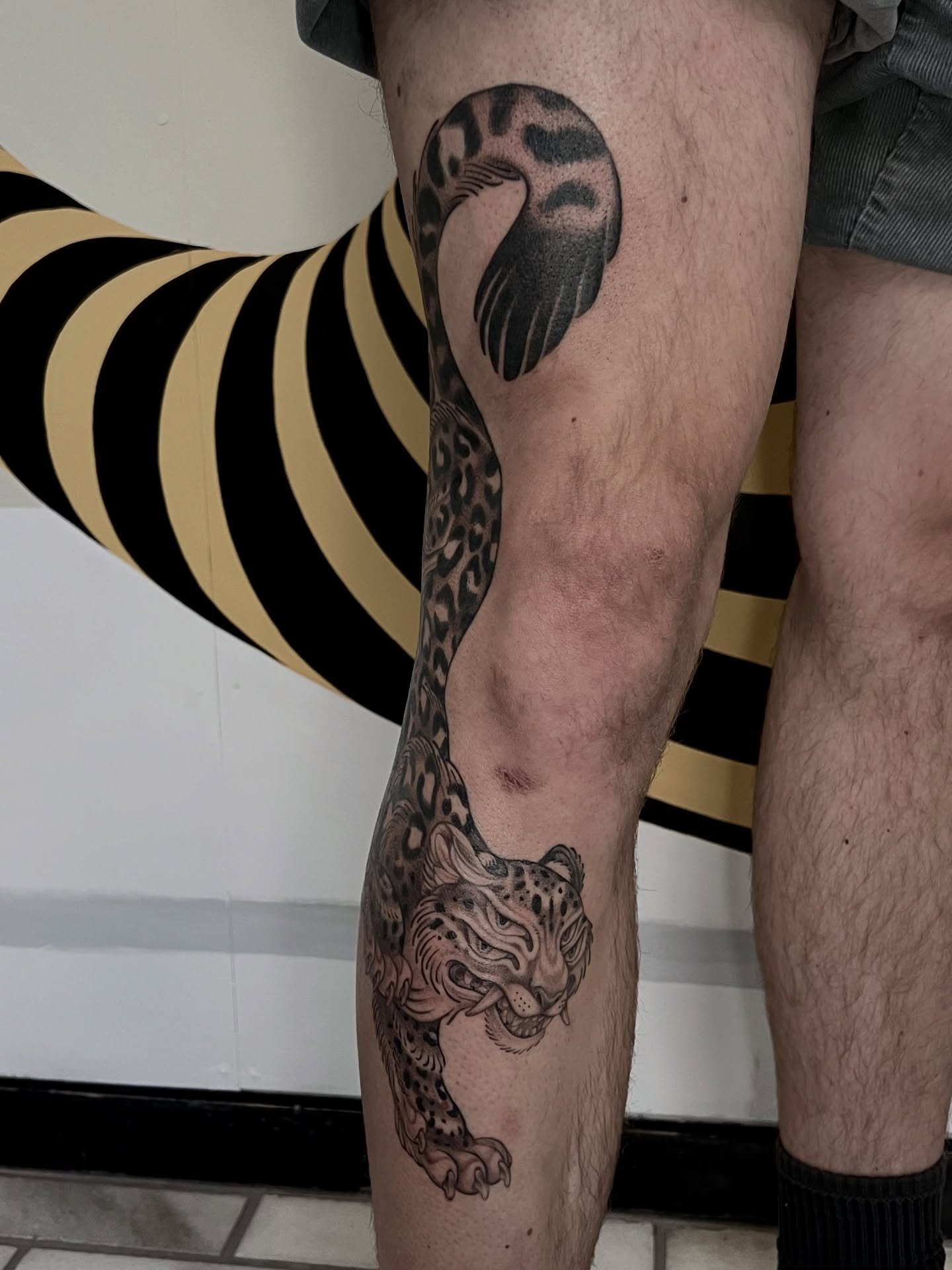 A privilege to tattoo this on Mr. @sam_balzer_art thanks so much for trusting me with this big friend 🫶🫶✨

Done @buttercattattoo 

#tattooart #tattooartist #wellingtontattooartist #nztattooartist #wellingtontattooshop #snowleopardtattoo #snowleopar