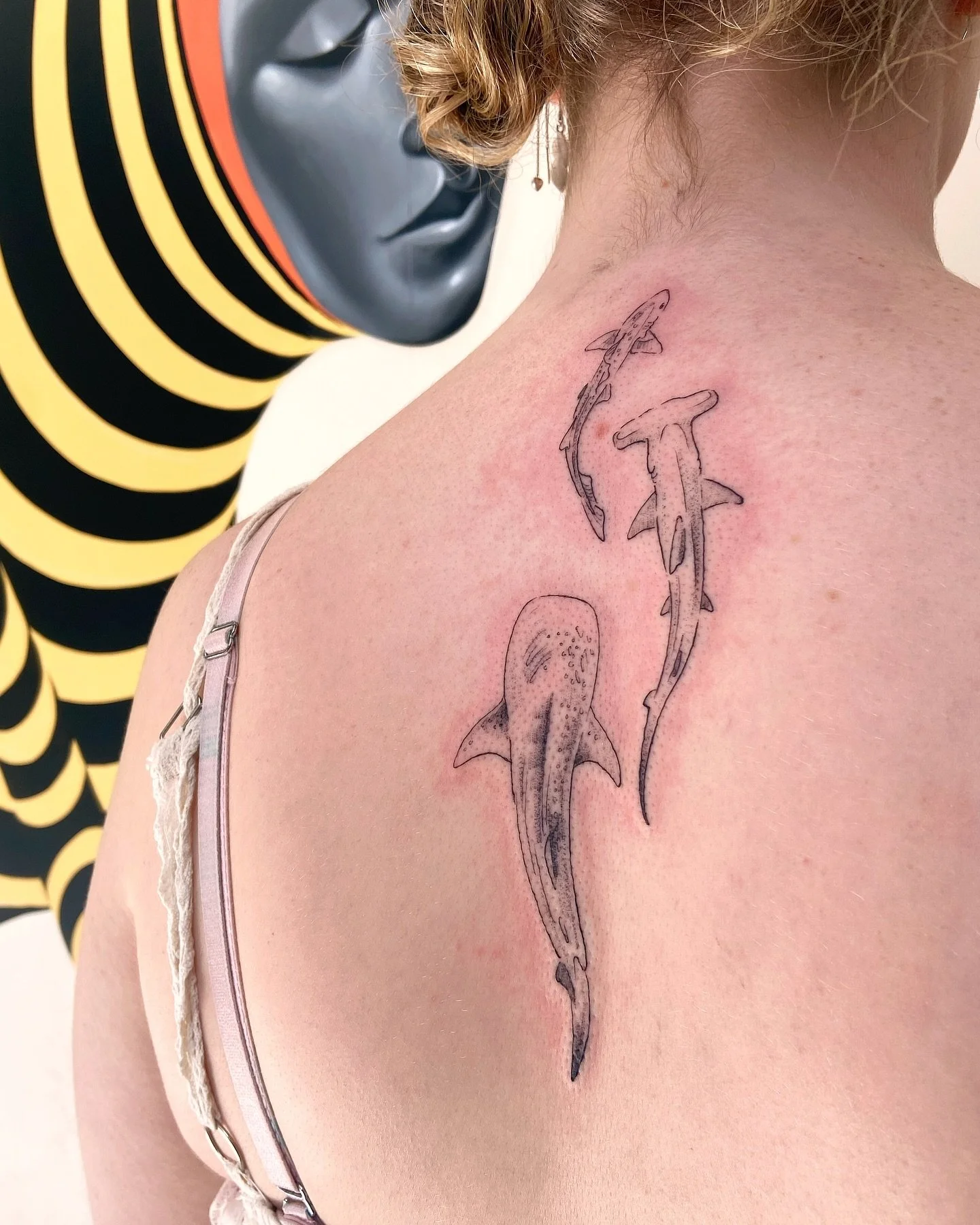 A rig shark, hammerhead, and whale shark 🌊🌊🌙
.
Thank you very much for your trust on your wee friends, Jessiana! Love this placement and how theyre all swimming together 🩵