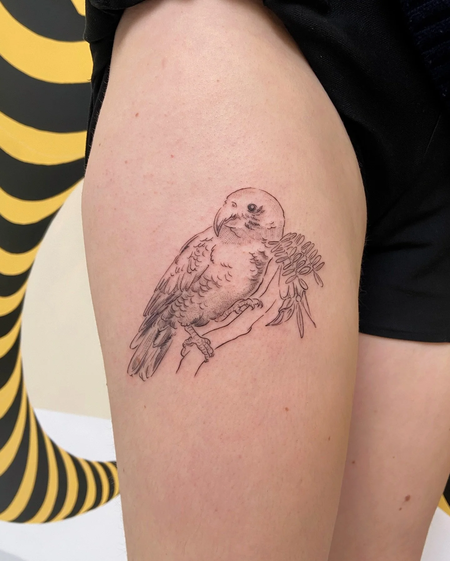 Kaka &amp; kaka&rsquo;s beak 🌺🦜✨
.
Thank you so much for your trust on your first, Cecilia! You sat perfectly, of course 🤲🏽&hearts;️