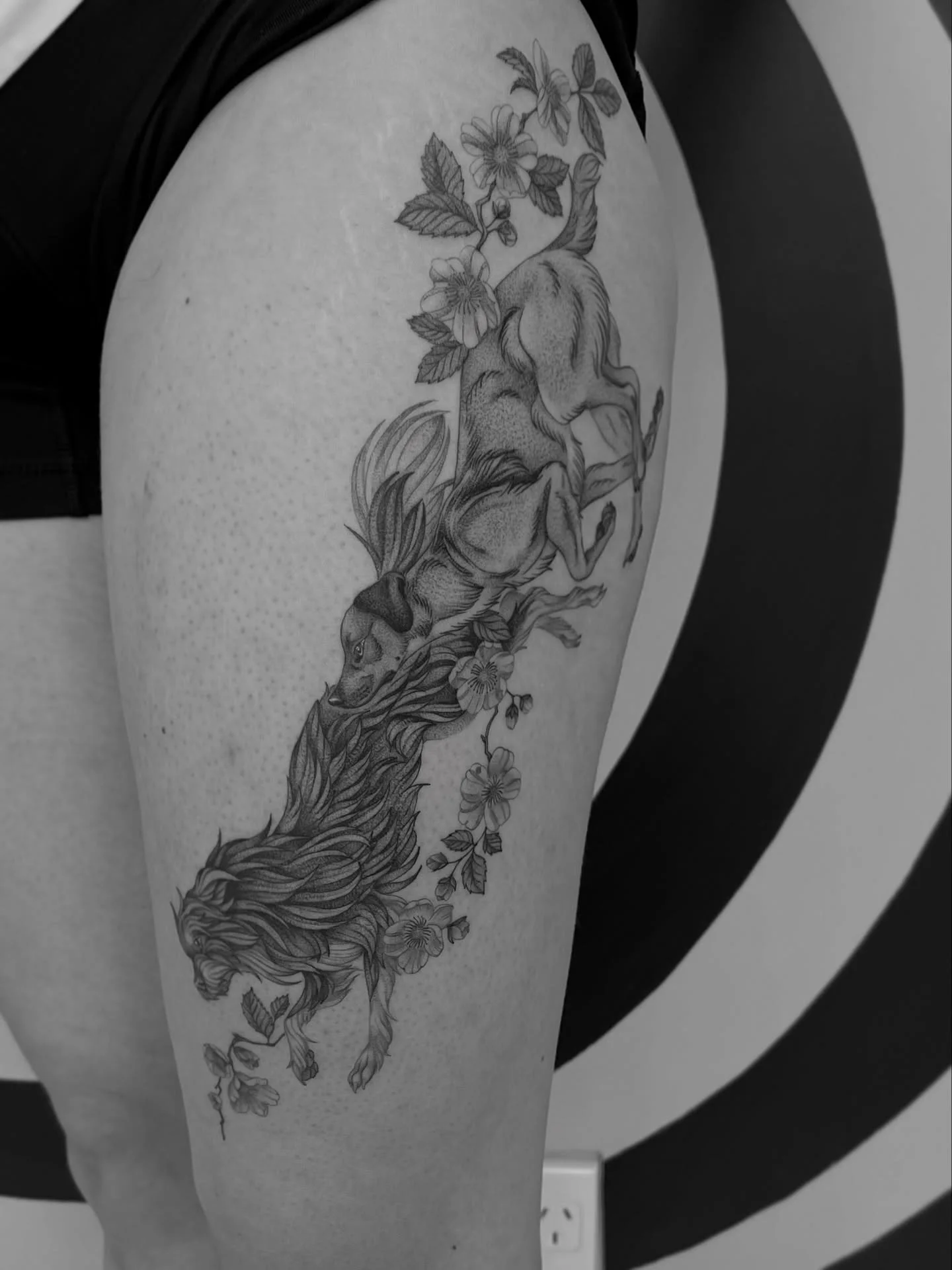 Thanks so much @albieandaxel for trusting me to capture your beautiful dogs! So much fun to tattoo this with you. Done across 1.5sessions @buttercattattoo 

If you would like something like this I am booking Jan and Feb at the moment so get in touch 