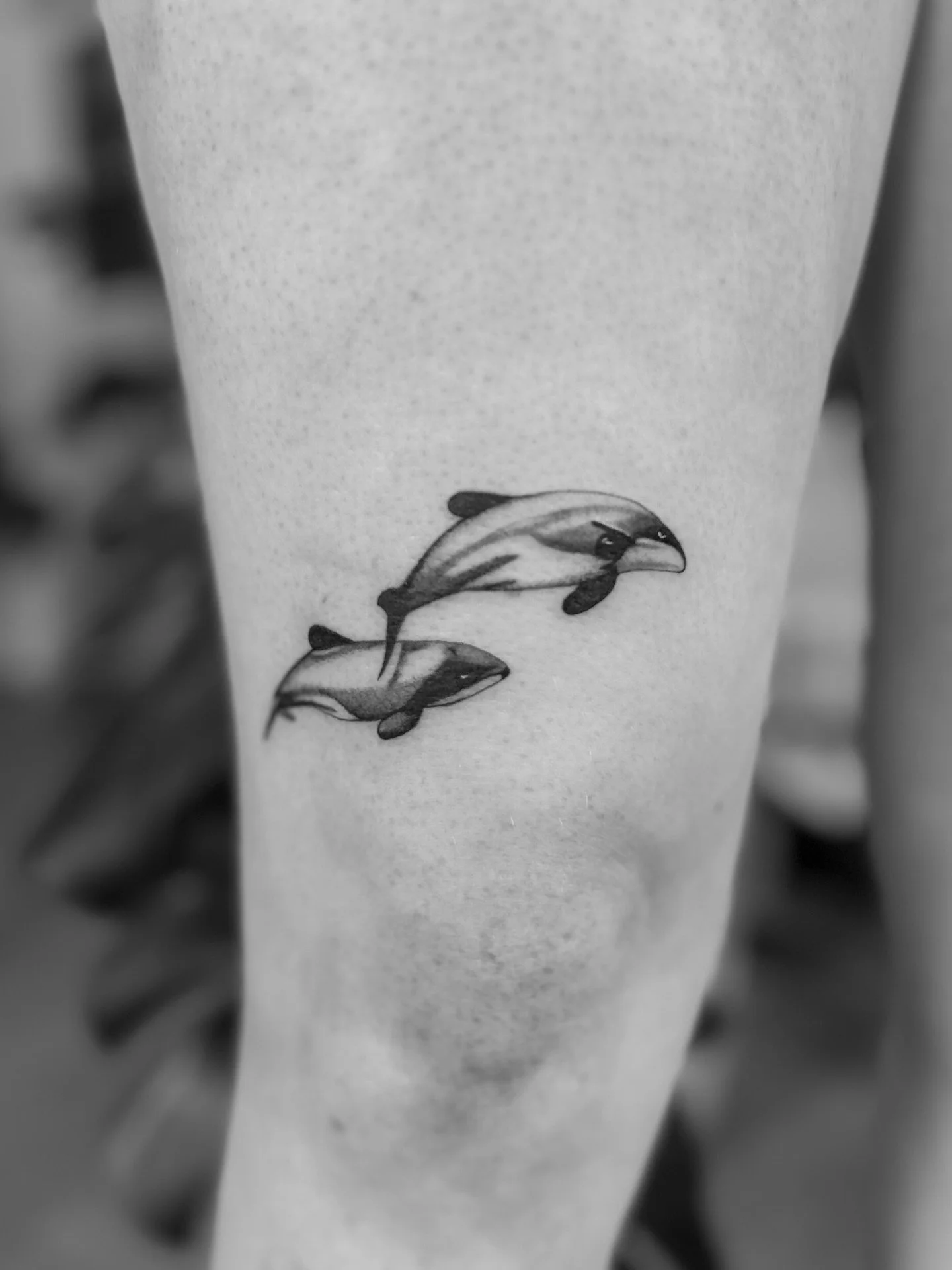 some cuties from the most recent flash day at gorgeous @openroadtattoo 🧡 such an honour to spend a day working with my besties and hanging out with our special community! 

🧡 booking March at @buttercattattoo 

.
.
.
.
.
.
#flashday #flashtattoo #t