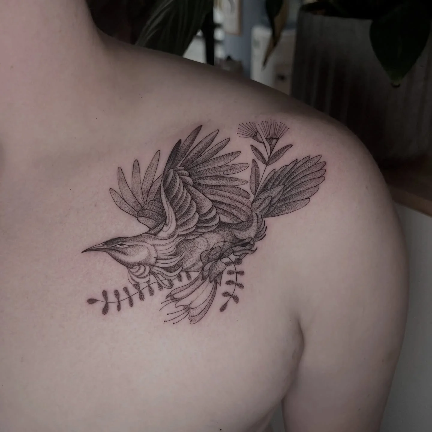 Flying Tui bird with Kowhai and Pohutakawa flowers for Silas.

Thanks so much again!

#wellingtontattooartist #nztattooartist #wellingtontattoostudio #tuitattoo #nzbirdtattoo