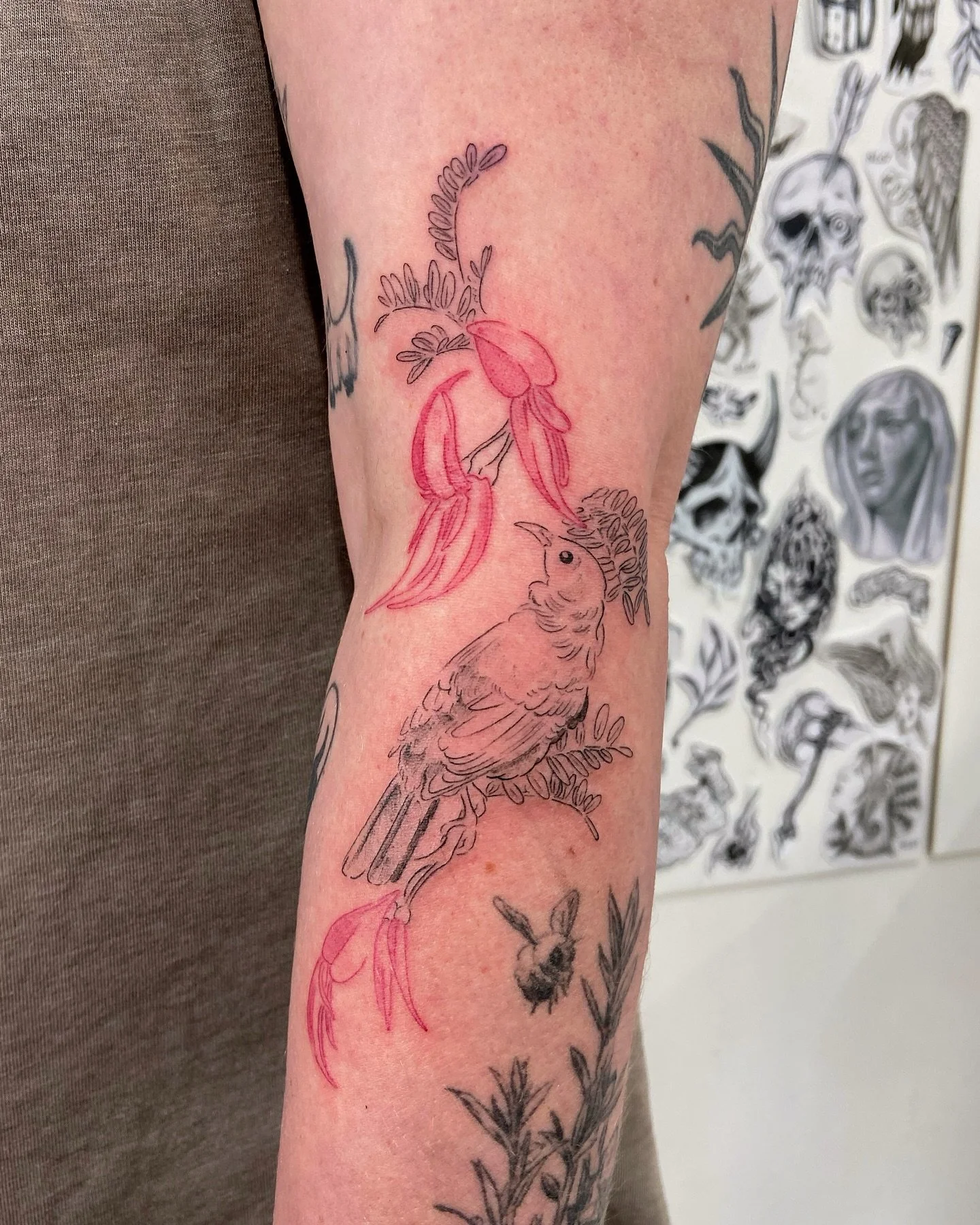 A Tui &amp; some red kaka&rsquo;s beak 🌺🐦&zwj;⬛
.
So so lovely to see you again, Morgan! Thank you for taking the time to pop in 🤲🏽&hearts;️ it was so good to catch up
.
🐝 Tui &amp; kaka&rsquo;s beak above a several years healed manuka, which we