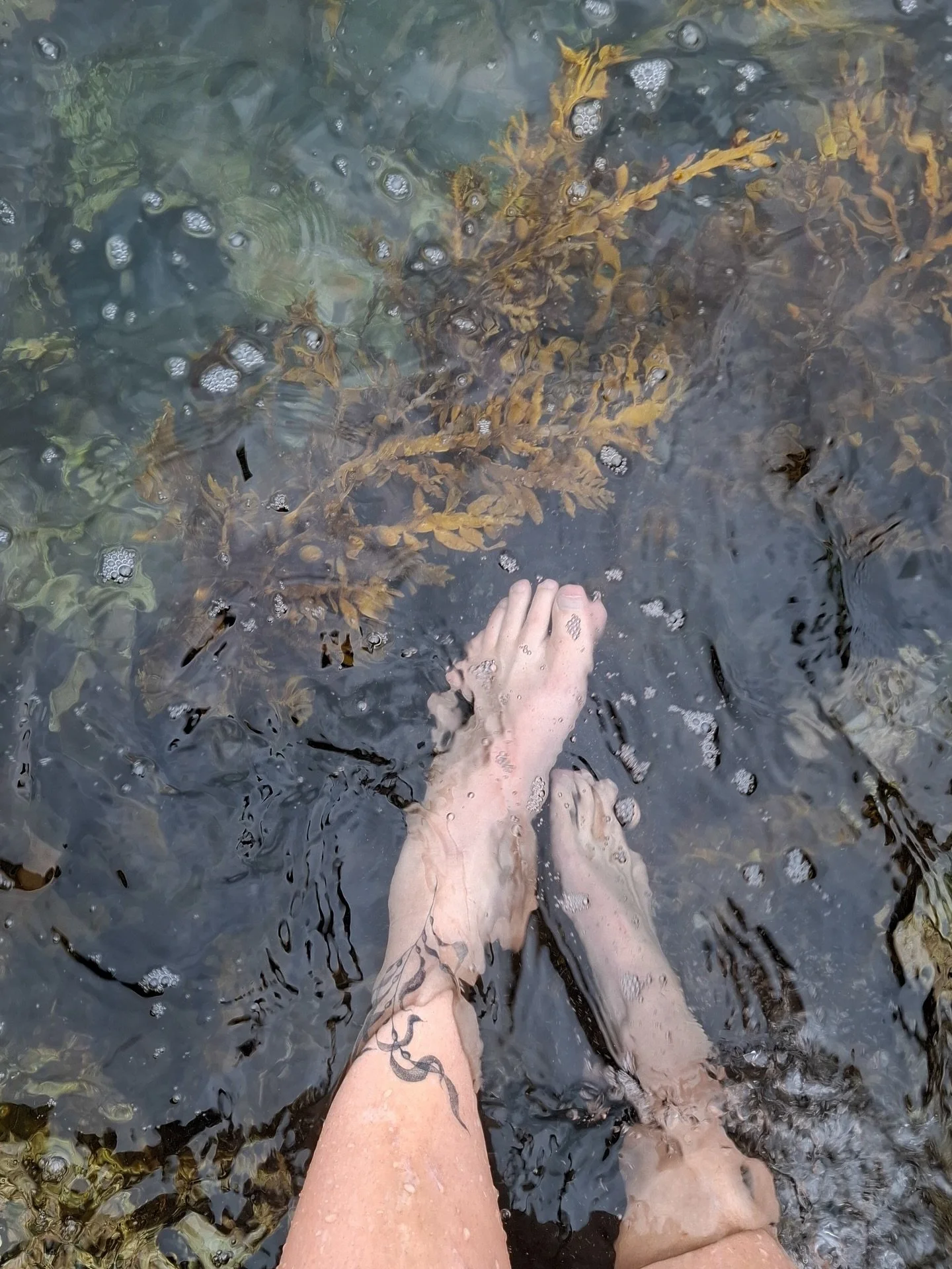 kelp flash healed and at home with Rose in the moana 🩵 

please send me your healed photos! this helps me check my techniques are settling right and it&rsquo;s just so nice to see your tattoos living their lives 🩵

booking April at @buttercattattoo