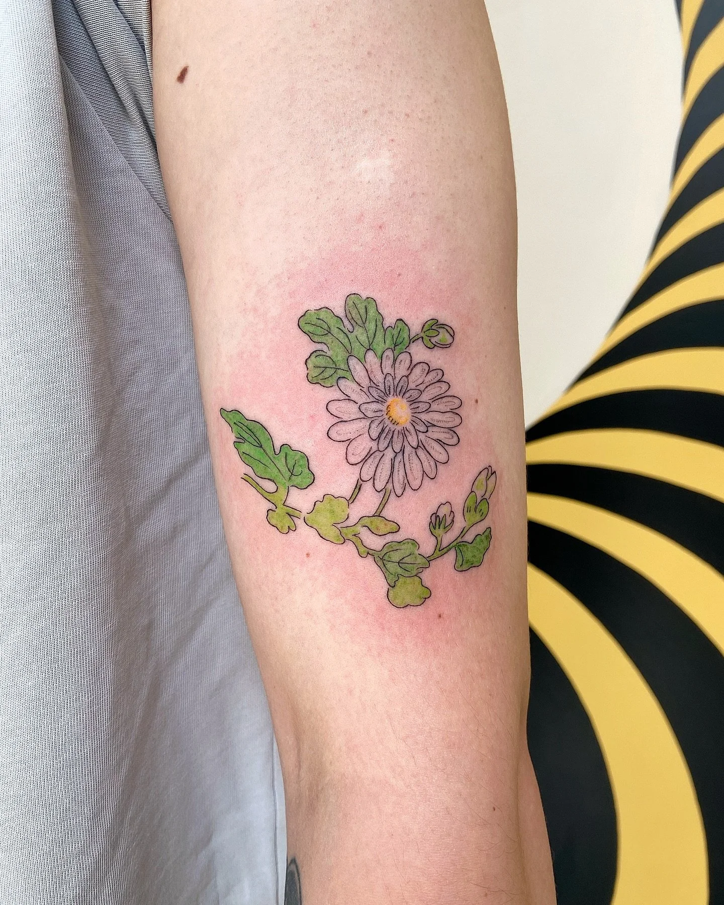 Flash from my Jingdezhen pottery flash, with some minor variations 🌼
.
Thank you for letting me add to your collection, Tommy! 🤲🏽&hearts;️