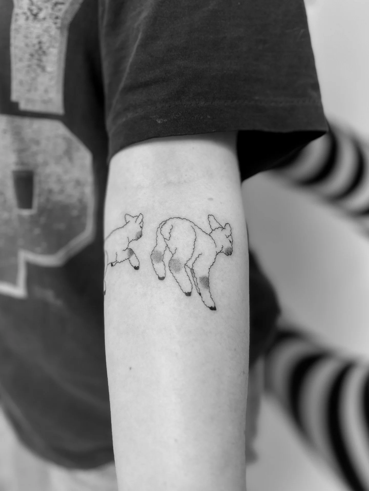 two little lambies from my flash for Shauna 🤍 thank you for giving these cuties a home! 

made at @buttercattattoo 🤍

#tattoo #finelinetattoo #lambtattoo #wellingtontattoo #flashtattoo