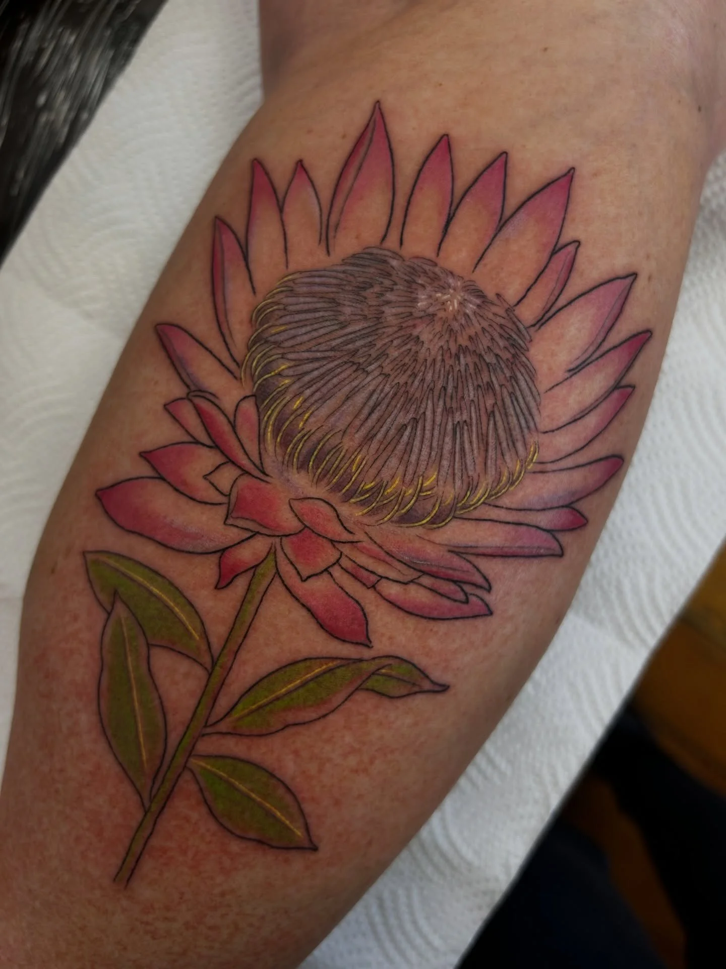 Loved tattooing this king protea for my clients first tattoo, traditionally they&rsquo;re mostly white, but we brought in colours inspired by an illustration in The Little Prince as a memoir. I don&rsquo;t often get the chance to tattoo in colour but
