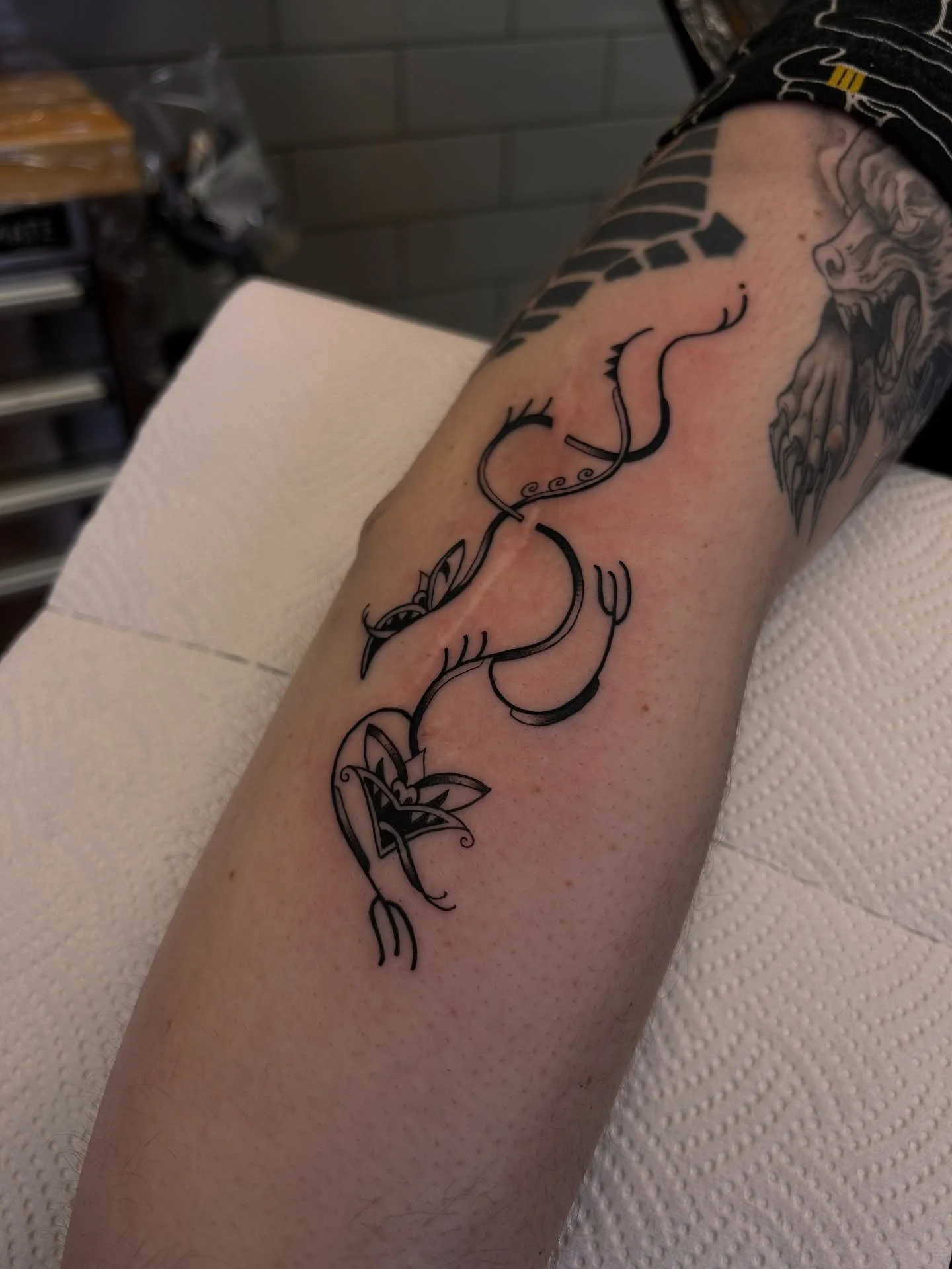 Ngake and Whātaitai for Ash. Working with some well settled scar tissue. I had a different design drawn up when they came in but Ash wanted the scar tissue more obviously incorporated without going too large with the design so they very kindly let me