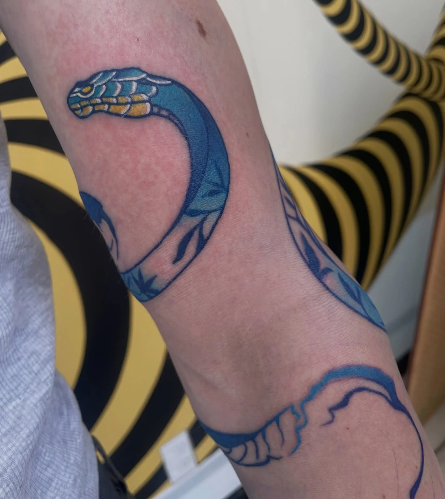 Custom porcelain smoke snake for Al. Thank you for the trust 🫶🫶
.
.
.
.
.
.
.
#tattoo #wellingtontattoos #snaketattoo #blueinktattoo  #smoketattoo