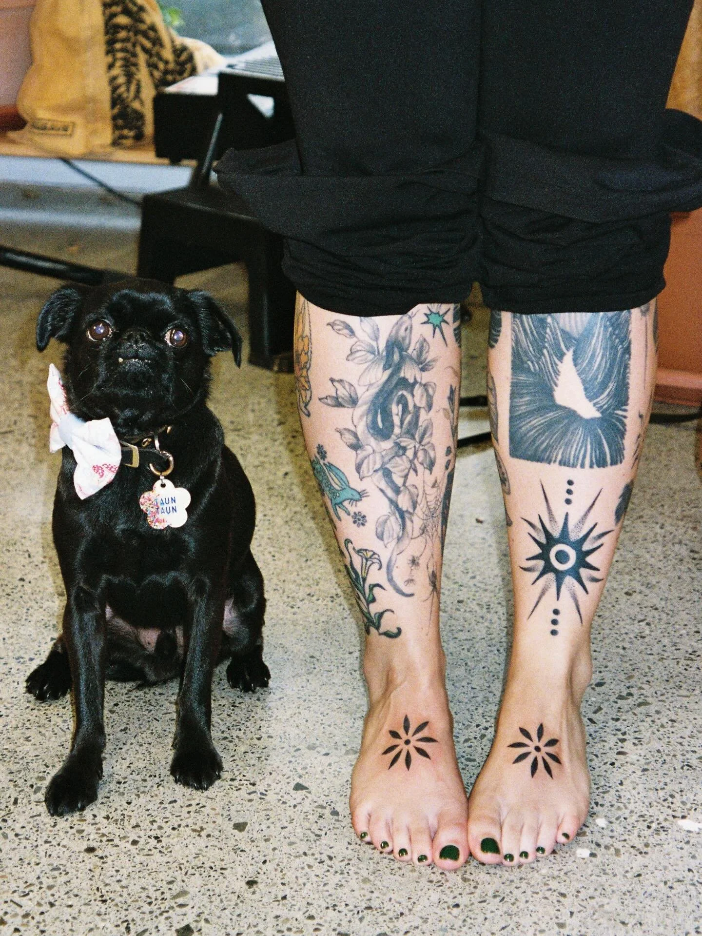 X3 dogs 😉 Lovely tattooing you again @tamarillo.tattoo 🥹💗🌱 🫶 x 

Made at @buttercattattoo 
Made with @tedstattoowonders 

✨Taking NZ bookings for June onwards ✨