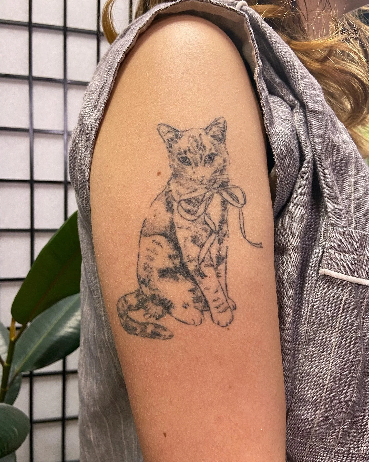 Oh and also two heals, continuing of my previous post 🐈🐑 also with Daisy &amp; Em. Thank u, Daisy &amp; Em!
.
Both around 2~2.5 years healed? The years start coming and they don&rsquo;t stop comin