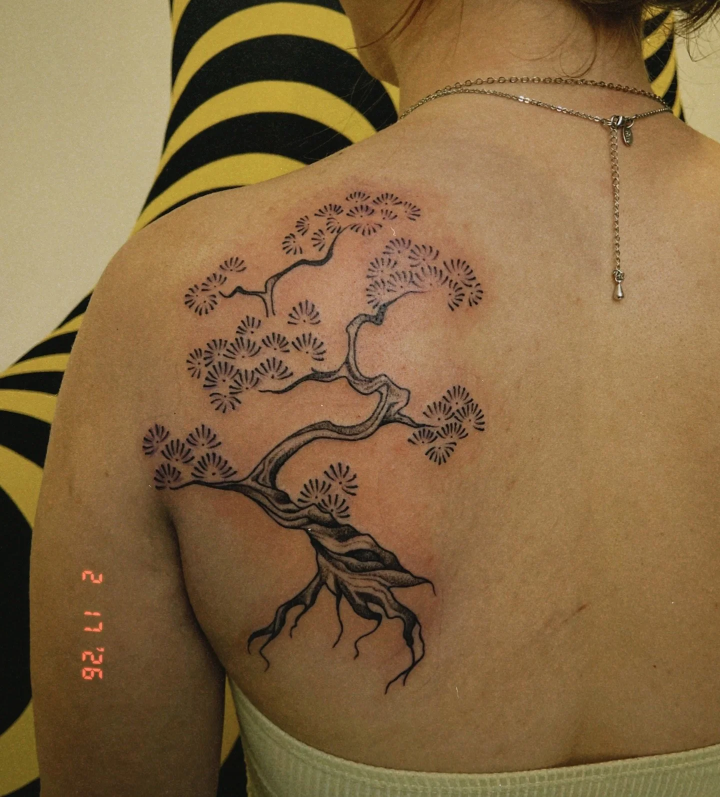 Hello I&rsquo;m back with a bonsai 🎋 
.
.
.
.
.
.
.
.
.
#tattoo #wellingtontattoos #bonsaitattoo #blackandgreytattoo #bonsai