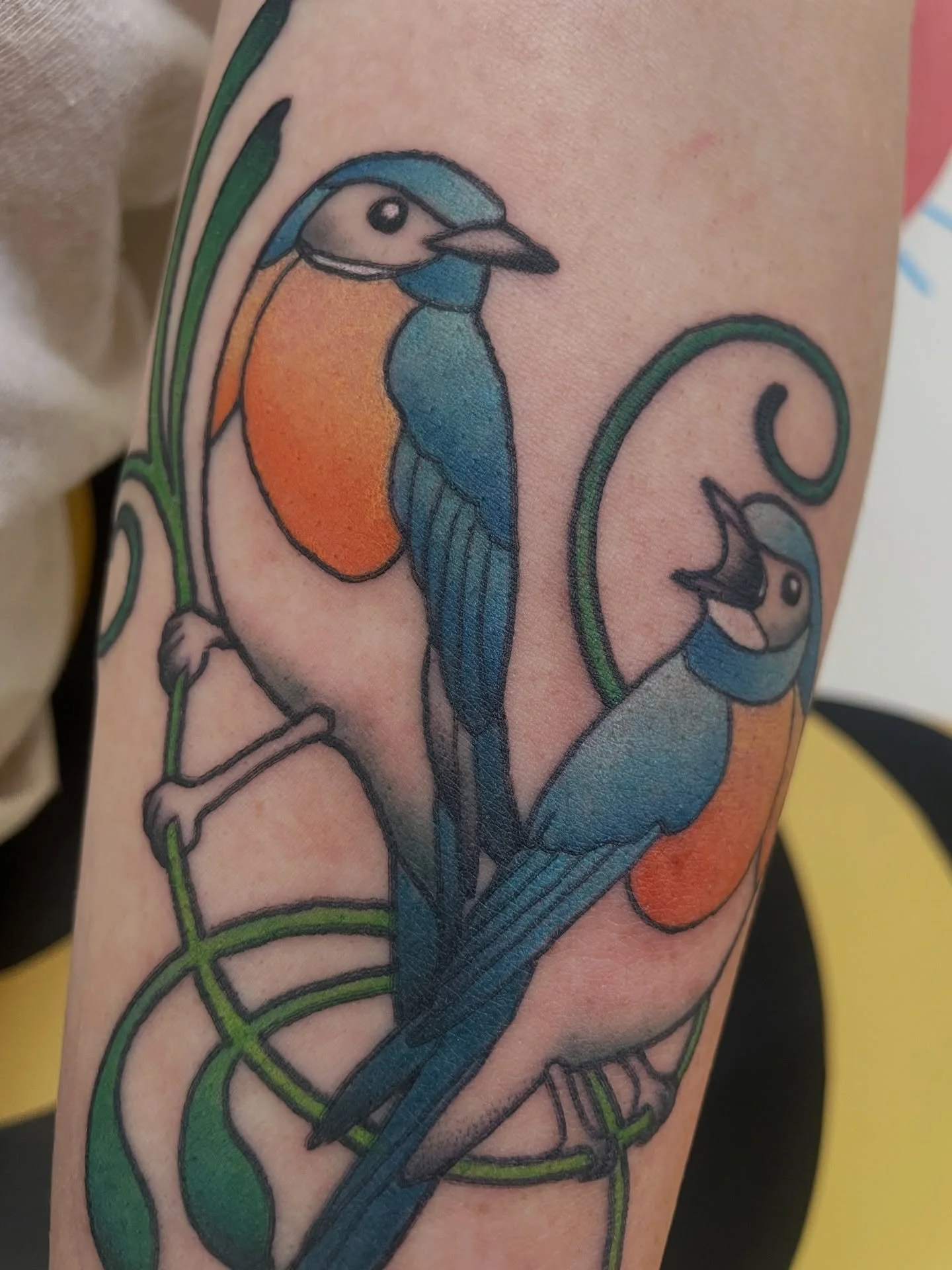 First colour tattoo for Kelsey! Thank you always for the trust and the great energy ✨
.
.
.
.
.
.
#tattoo #wellingtontattoo #artneuveau #birdtattoo #colourtattoo