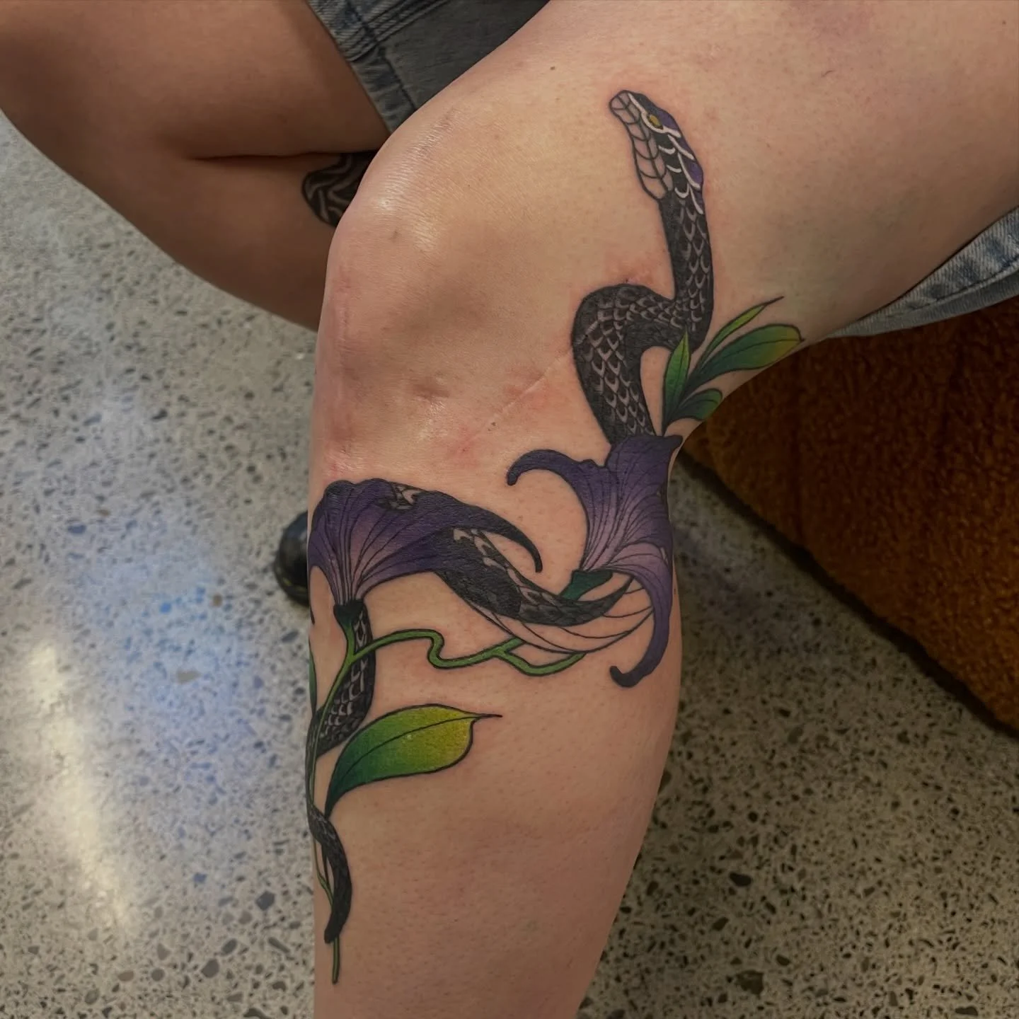 A lil knee adornment for Bex! Next knee next fortnight 🌸
.
.
.
.
.
.
.
.
#tattoo #wellingtontattoo #snaketattoo #artneuveau #kneetattoo