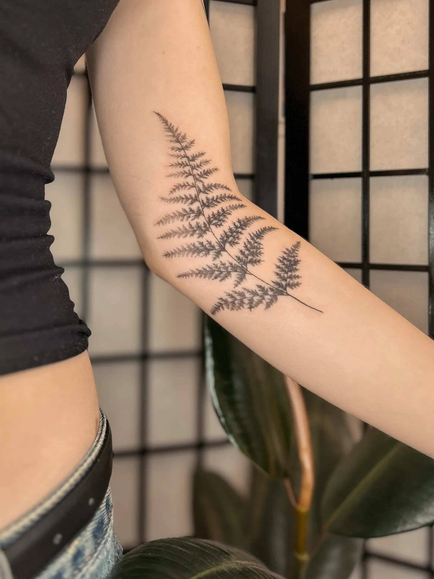 a fern for Evie 💚 obsessed with this placement! so dynamic! so organic!

💚 made at @buttercattattoo with @metrixtattoo &amp; @stencil.jam &amp; @dynamiccolor 💚

#tattoo #ferntattoo #finelinetattoo #nztattoo #tattoos