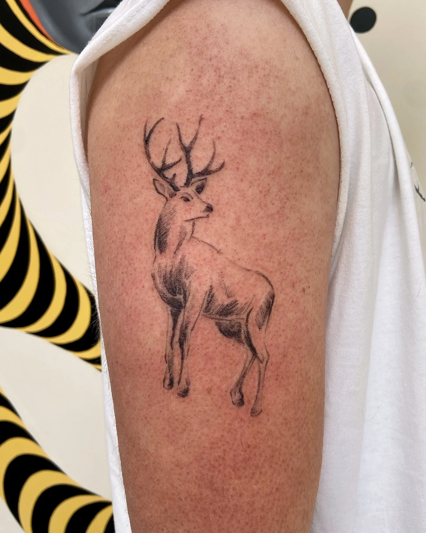 Fresh &amp; healed 🦌✨
(just under two months apart)
.
Twas lovely meeting you, Reed! And seeing you again since 🤲🏽&hearts;️ thank you for your trust on your first! Loved doing this pencil, charcoal-y style 
.
(inspired by the best game of all time