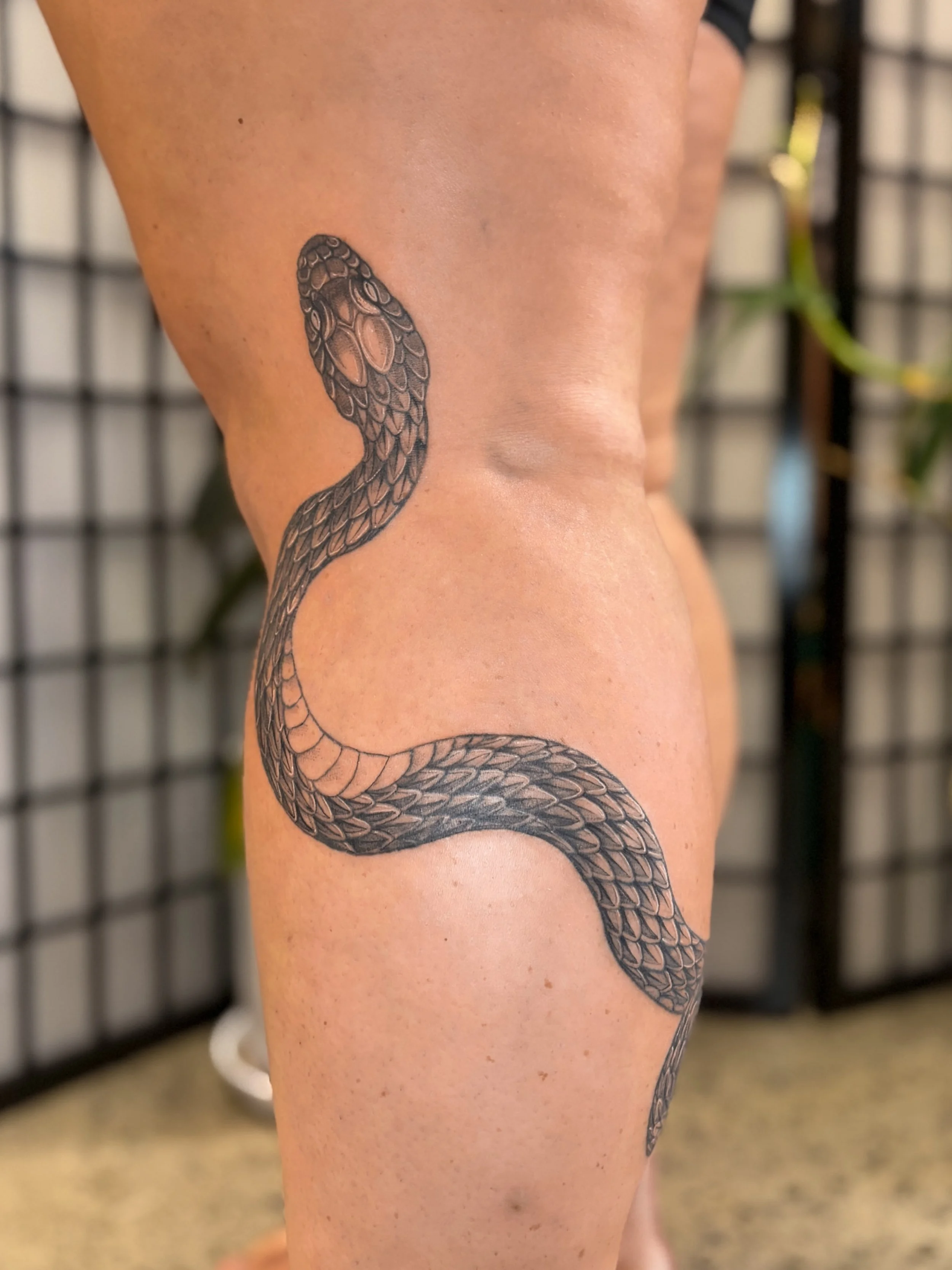 adored creating this custom snake tattoo with Atarehia 🐍 completed in two sessions 💚 thank you so much for such an exciting project and for being soooo tough! 

made at @buttercattattoo 

#snaketattoo #tattoo #nztattoo #wellingtontattooartist #nzta