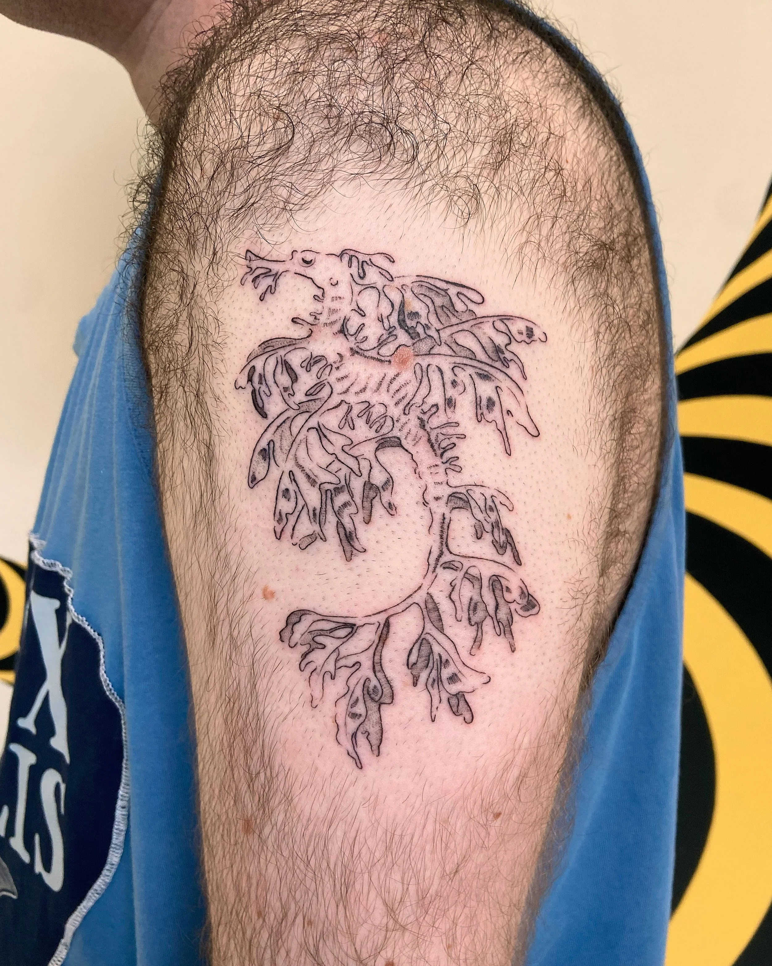 Thank u so much for giving this leafy sea dragon from my flash a home, Lee! 🌱🌱 (particularly enjoy the freckle incorporation) 
.
Twas lovely meeting you, and thank you as well for the trinkets!! The Sylvanian stickers were immediately distributed a