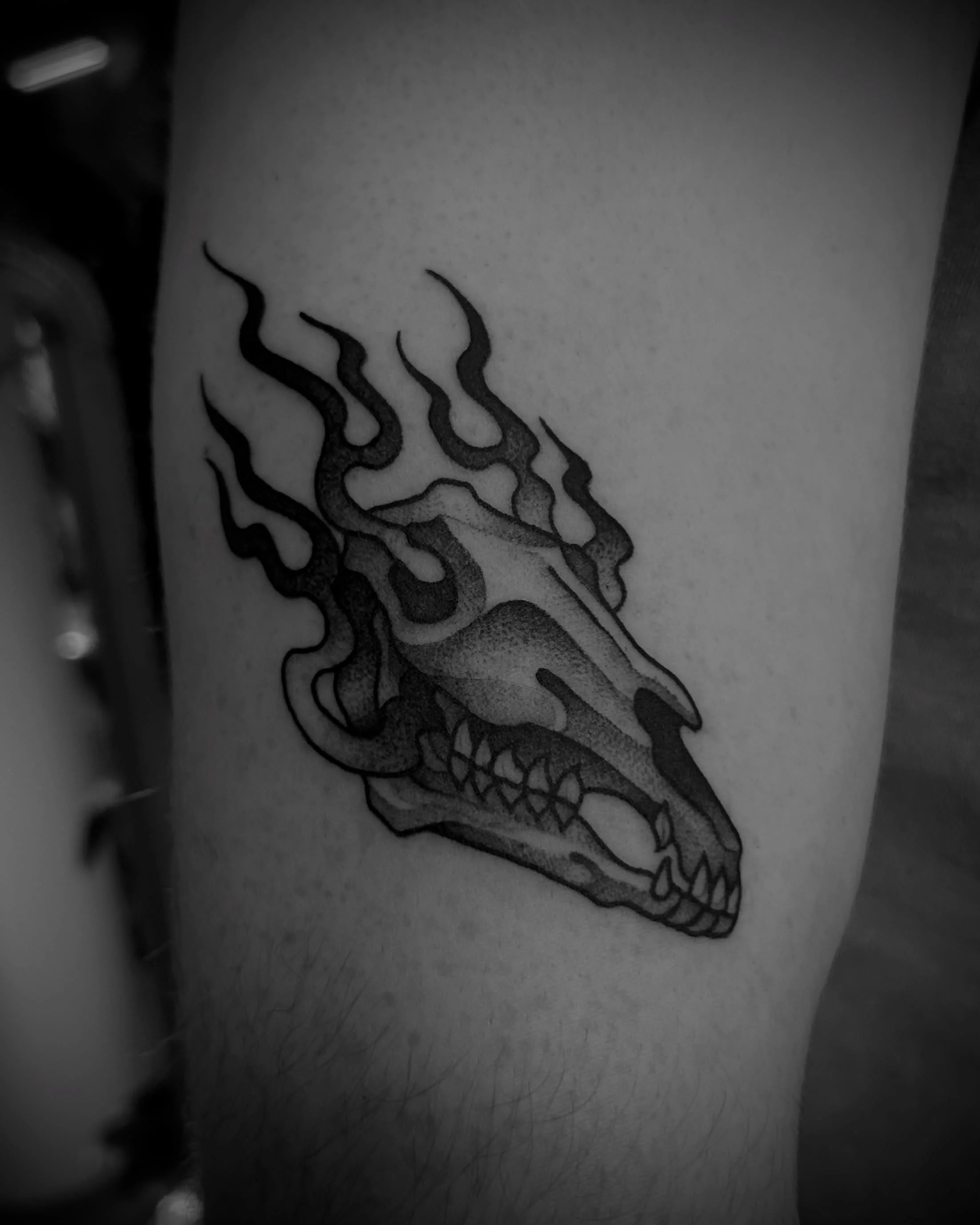 Some bits and pieces | thank you everyone who has come through to get a tattoo from me! I appreciate your trust and energy. 
Made @buttercattattoo 
.
#blackandgreytattoo #illustrativetattoos #tattoos #nztattoo #wellingtontattoo