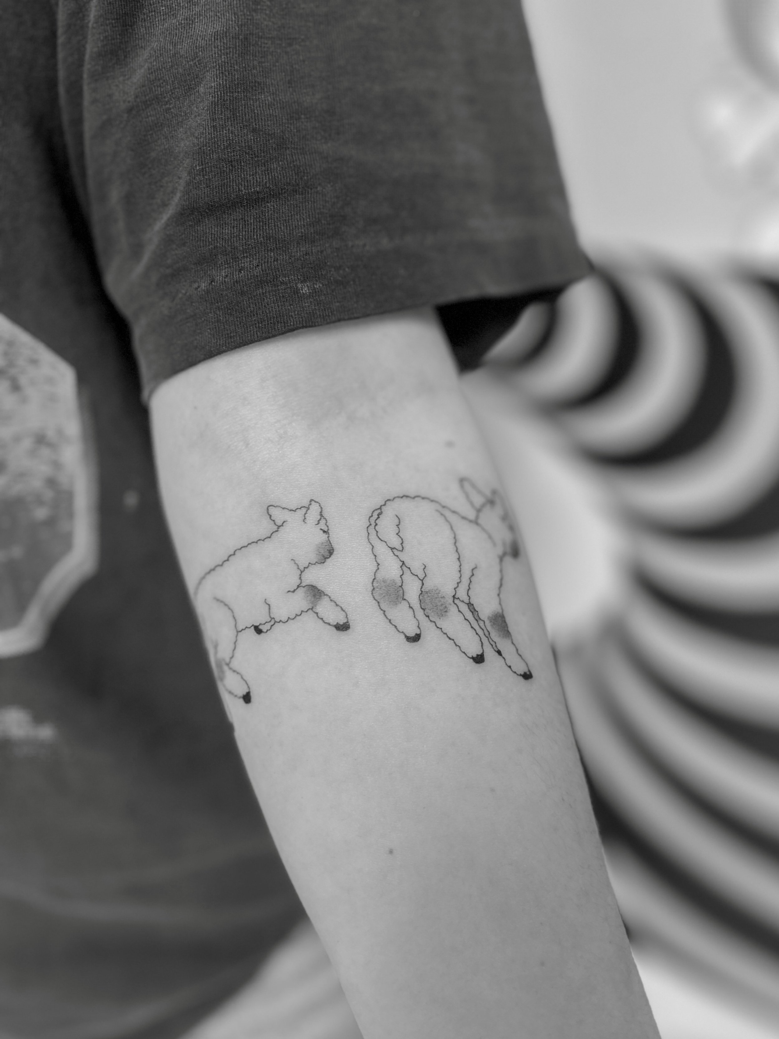 leaping lambie flash for Shauna 🤍 thank you for choosing these cuties! 

made at @buttercattattoo 🤍

.
.
.
.
#tattoo #finelinetattoo #nztattoo #wellingtontattoo #flashtattoo