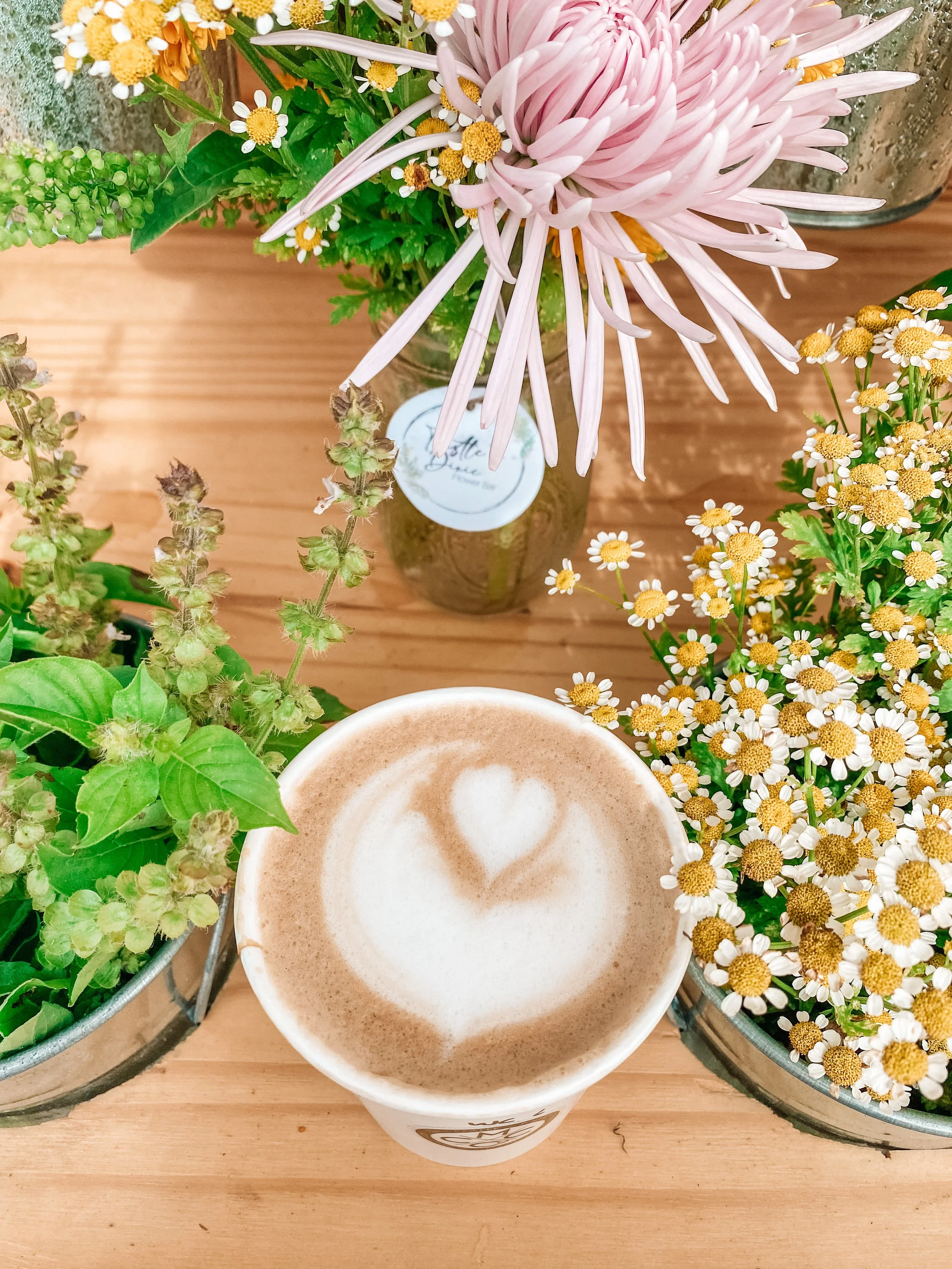 Boldly Going Coffee Co