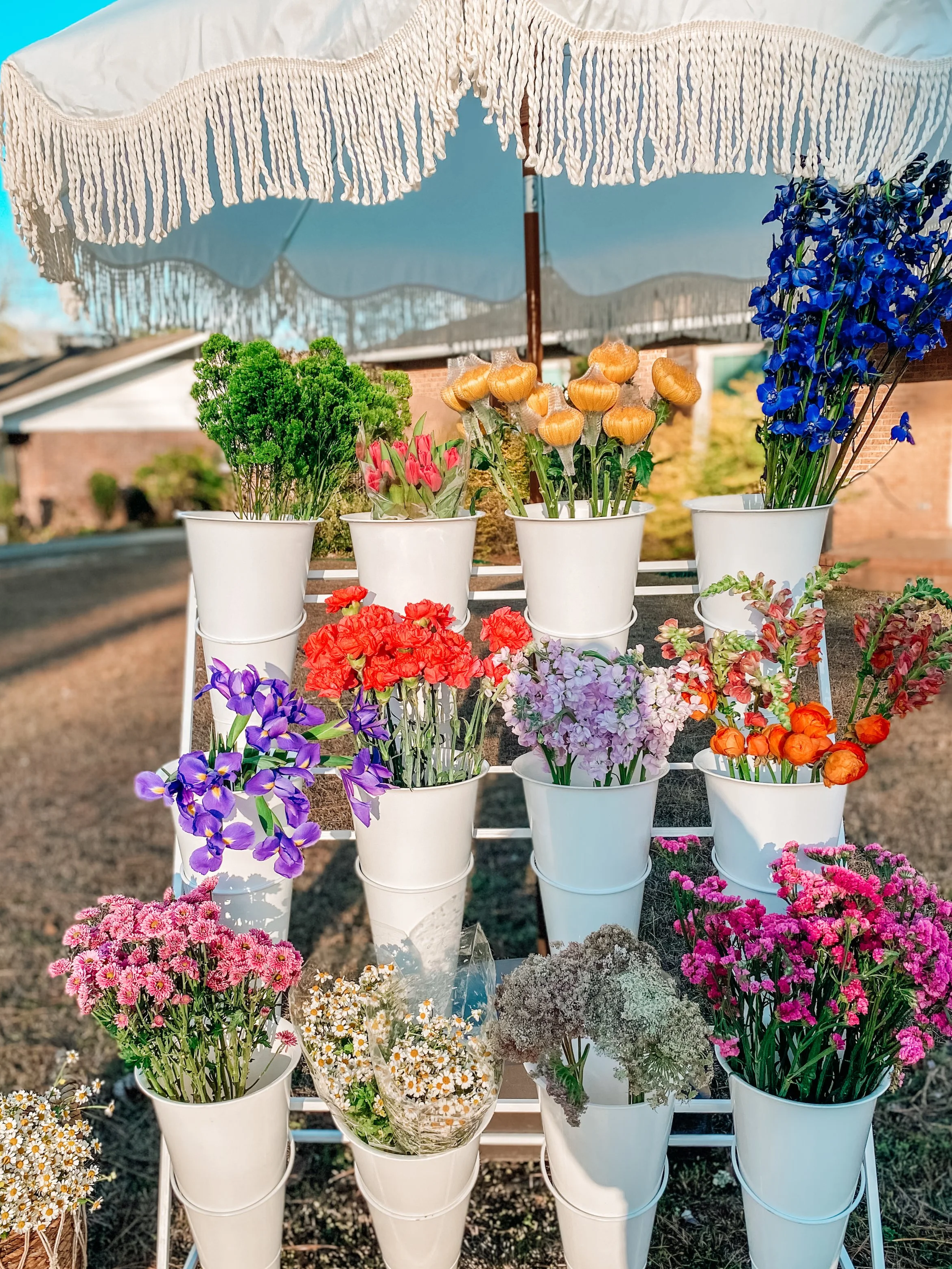 Valentine's at Boldly Going Coffee- Enterprise